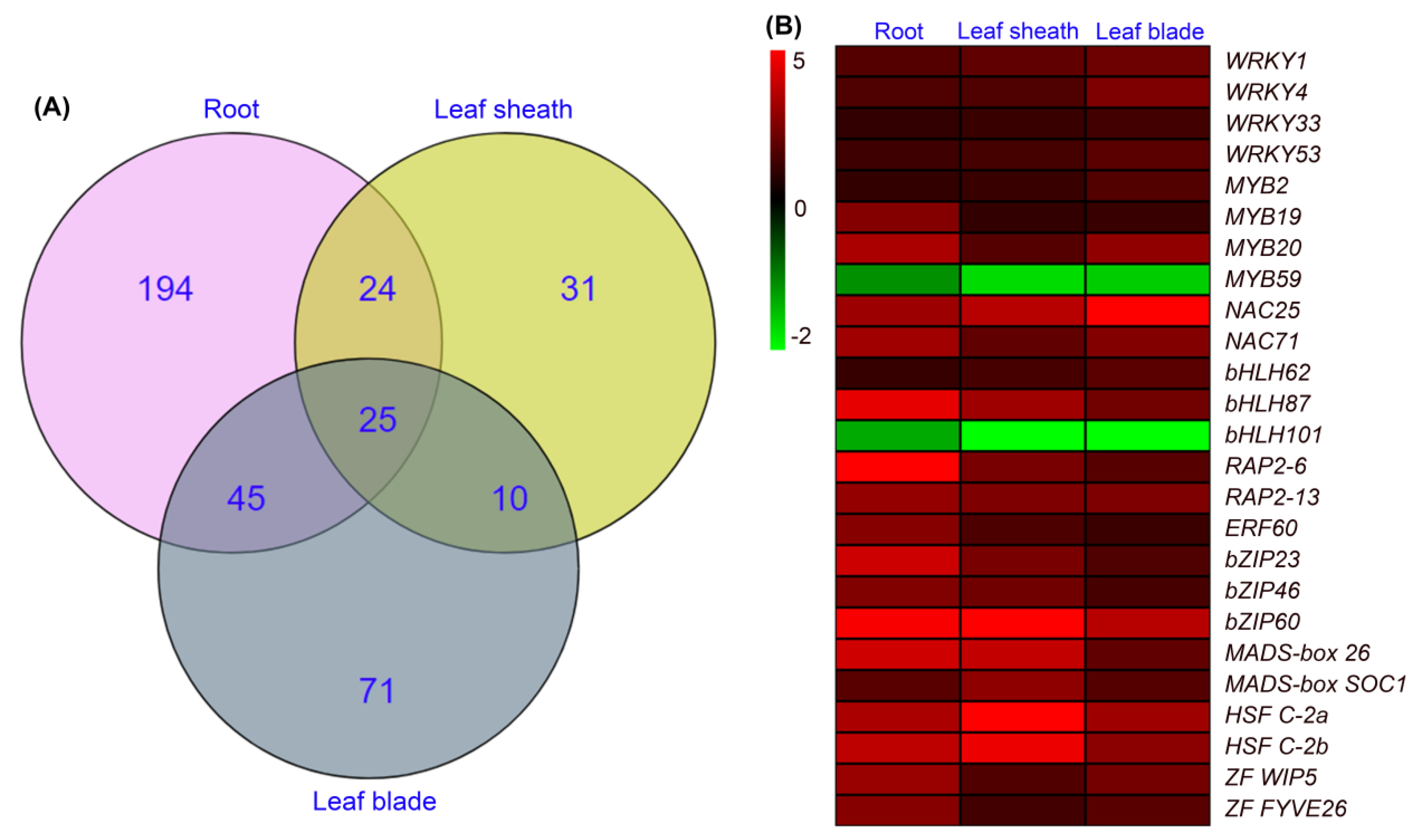 Preprints 75414 g009