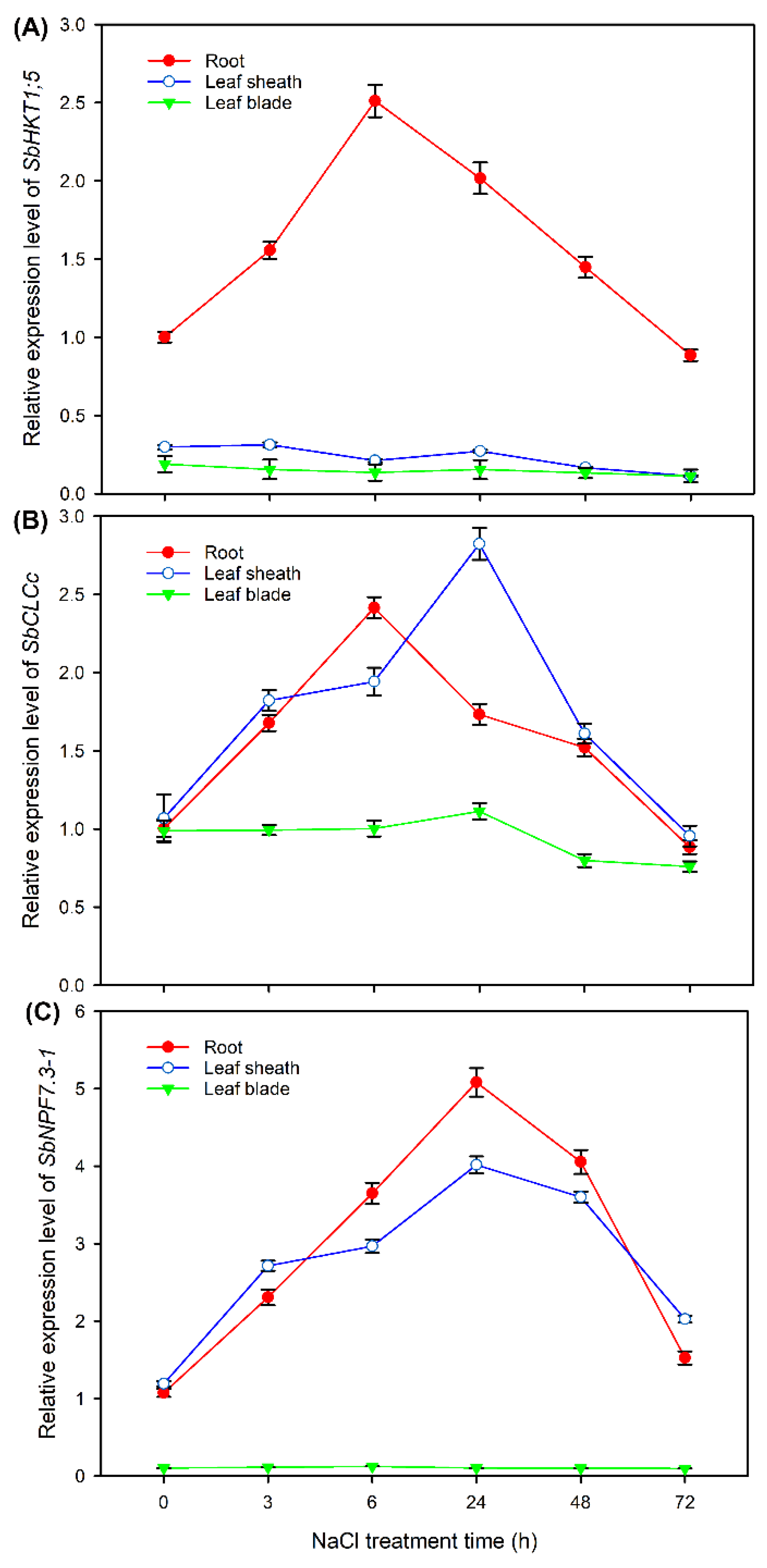 Preprints 75414 g010