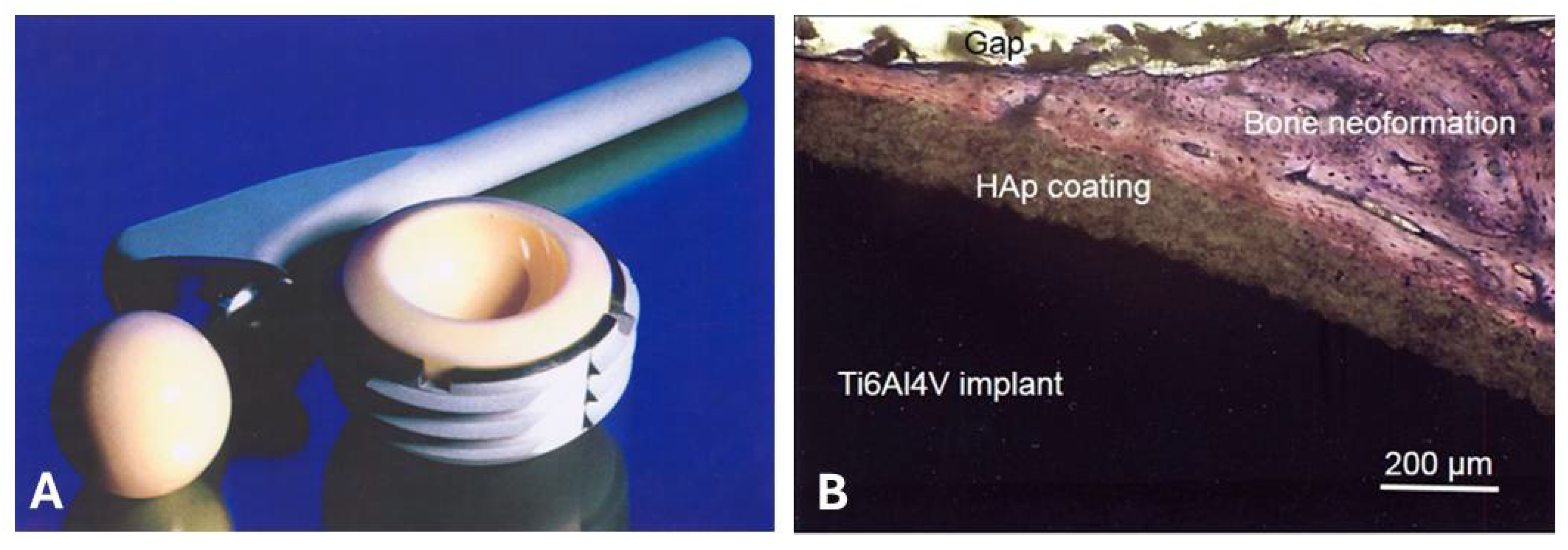 Preprints 107189 g001