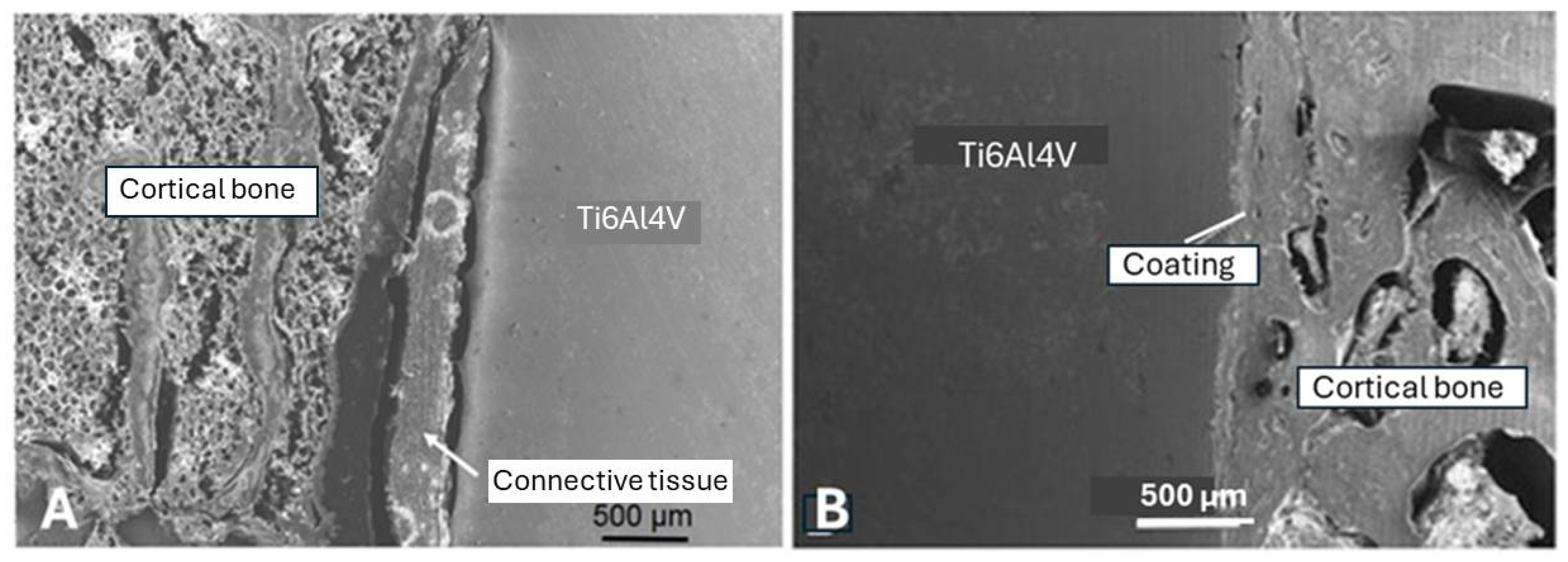 Preprints 107189 g002