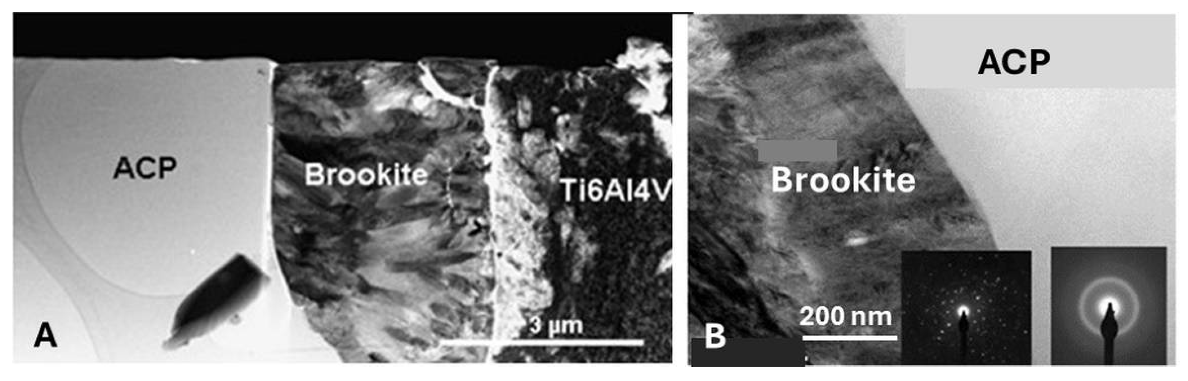 Preprints 107189 g009