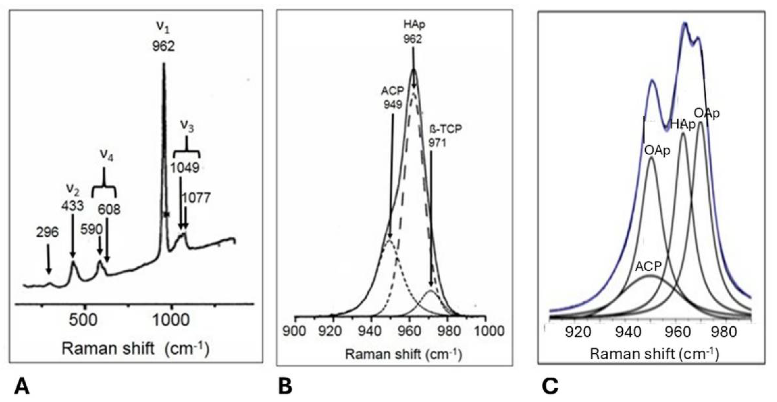 Preprints 107189 g010