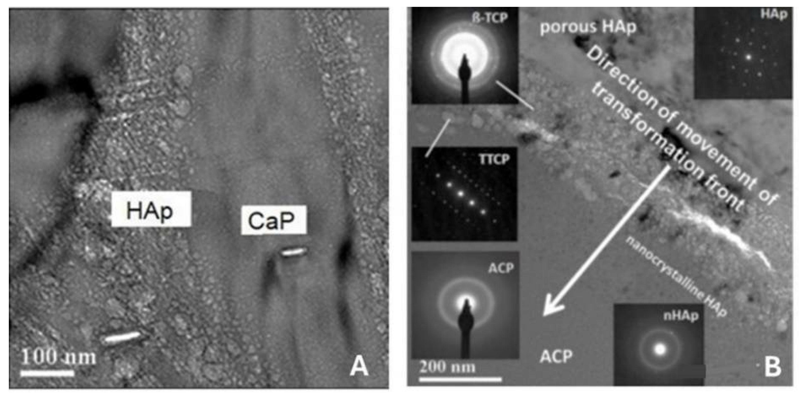 Preprints 107189 g016