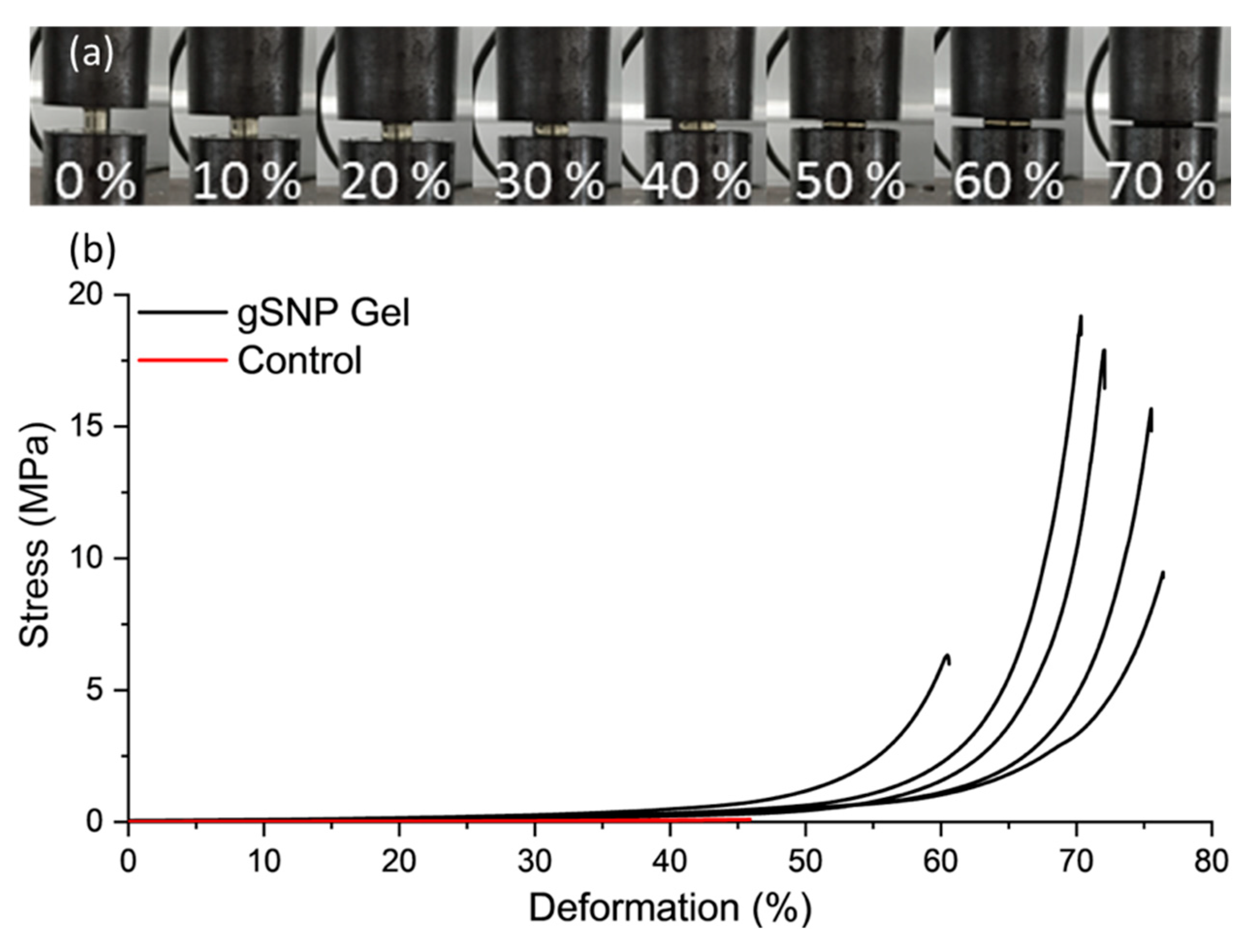 Preprints 74820 g006