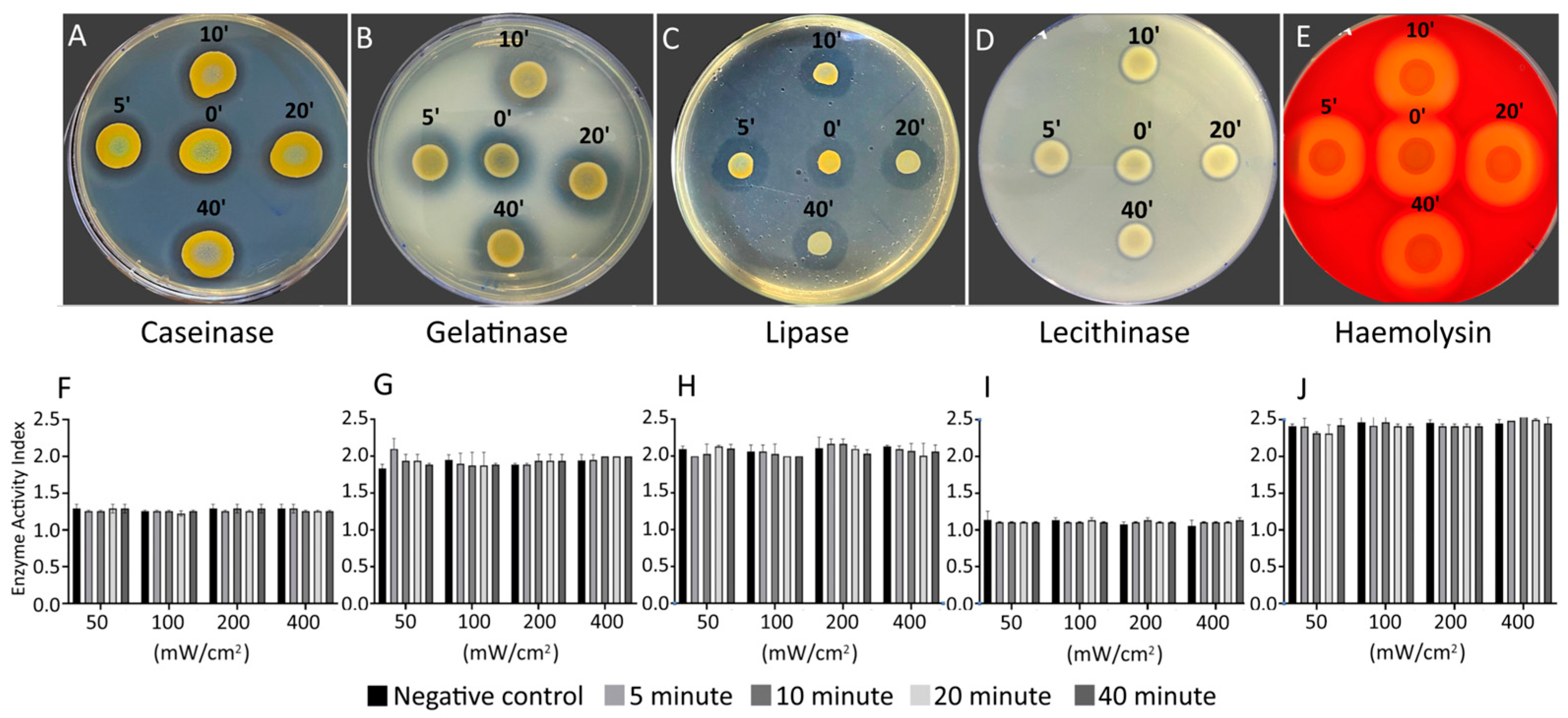 Preprints 89252 g002