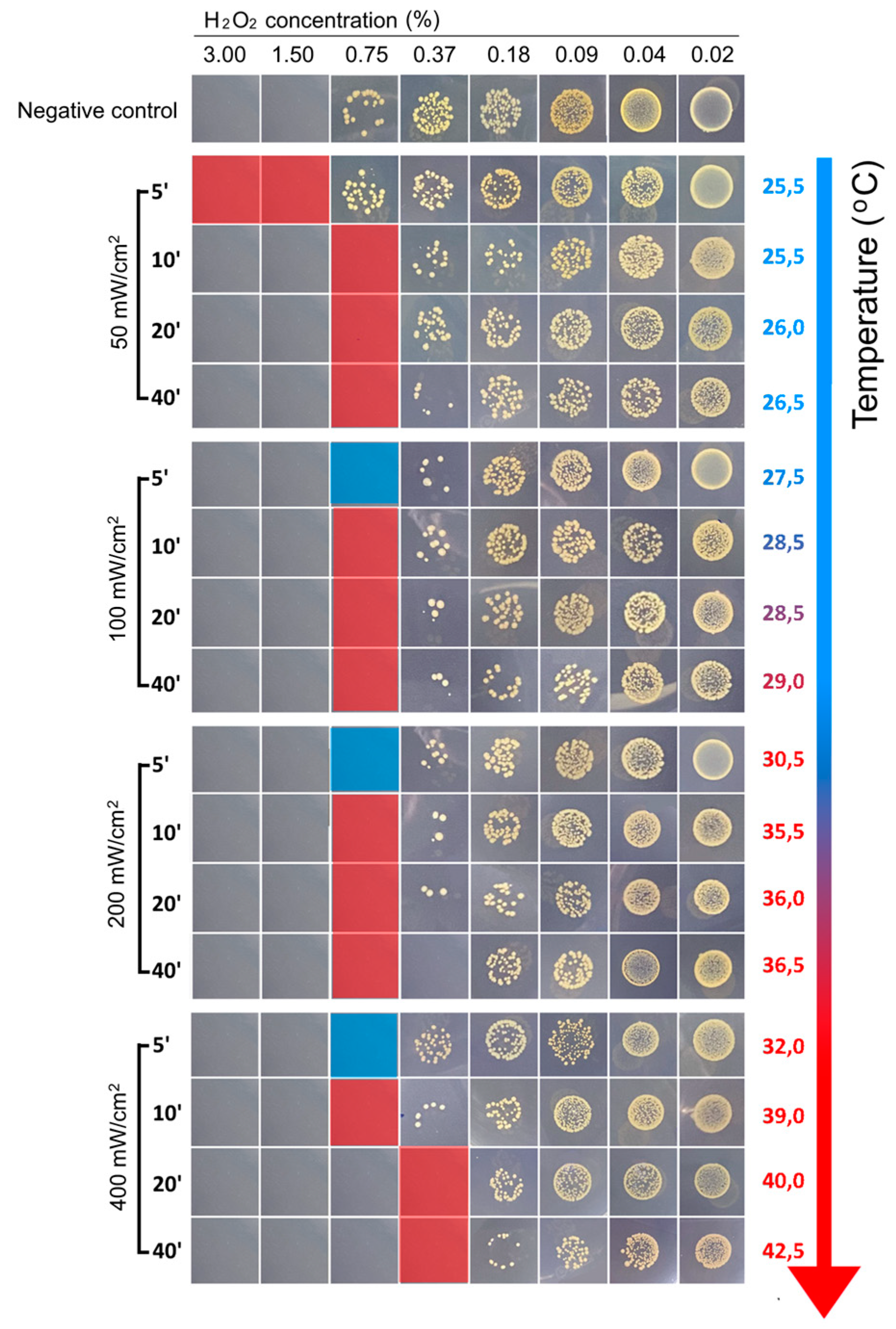 Preprints 89252 g004