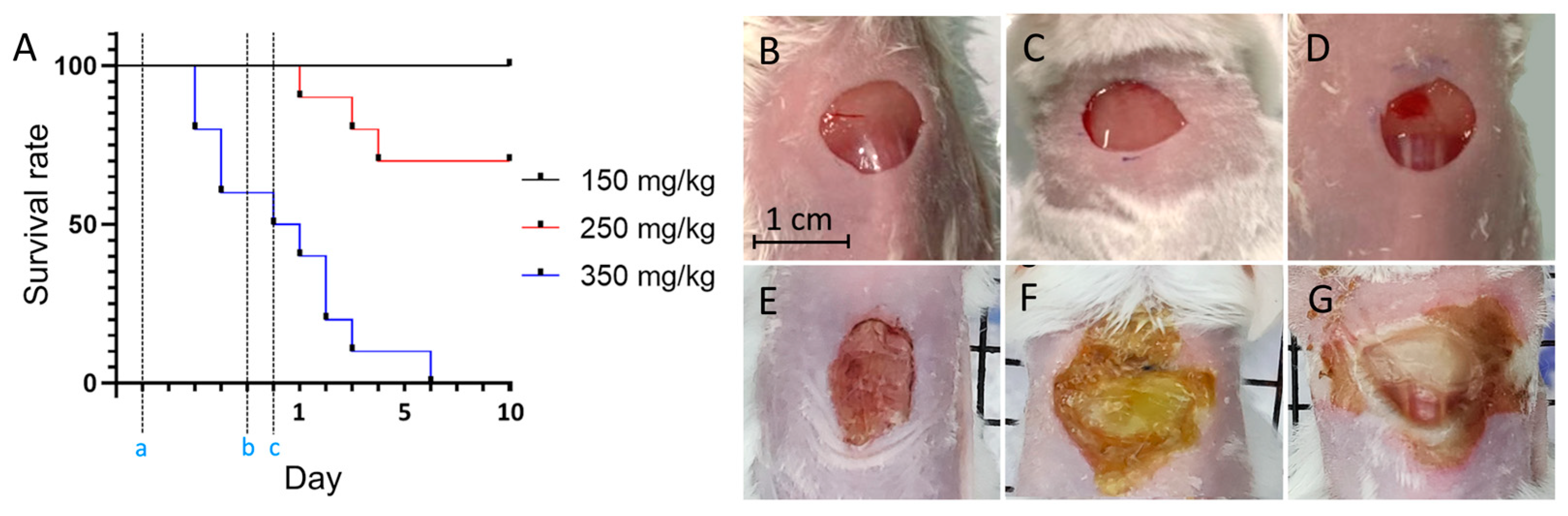 Preprints 89252 g006