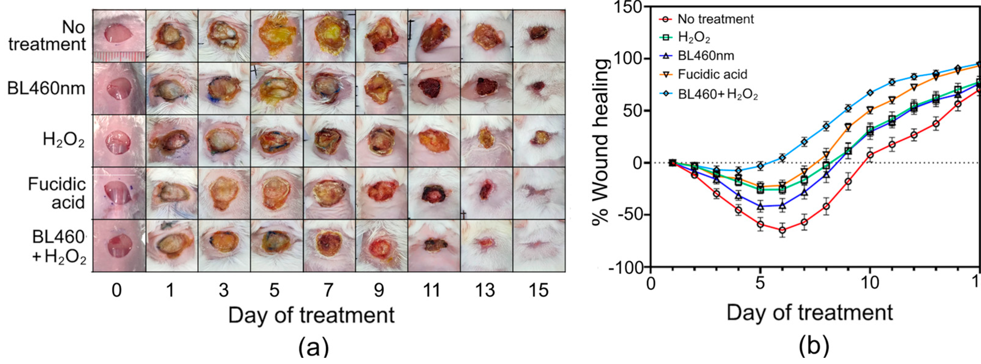 Preprints 89252 g007