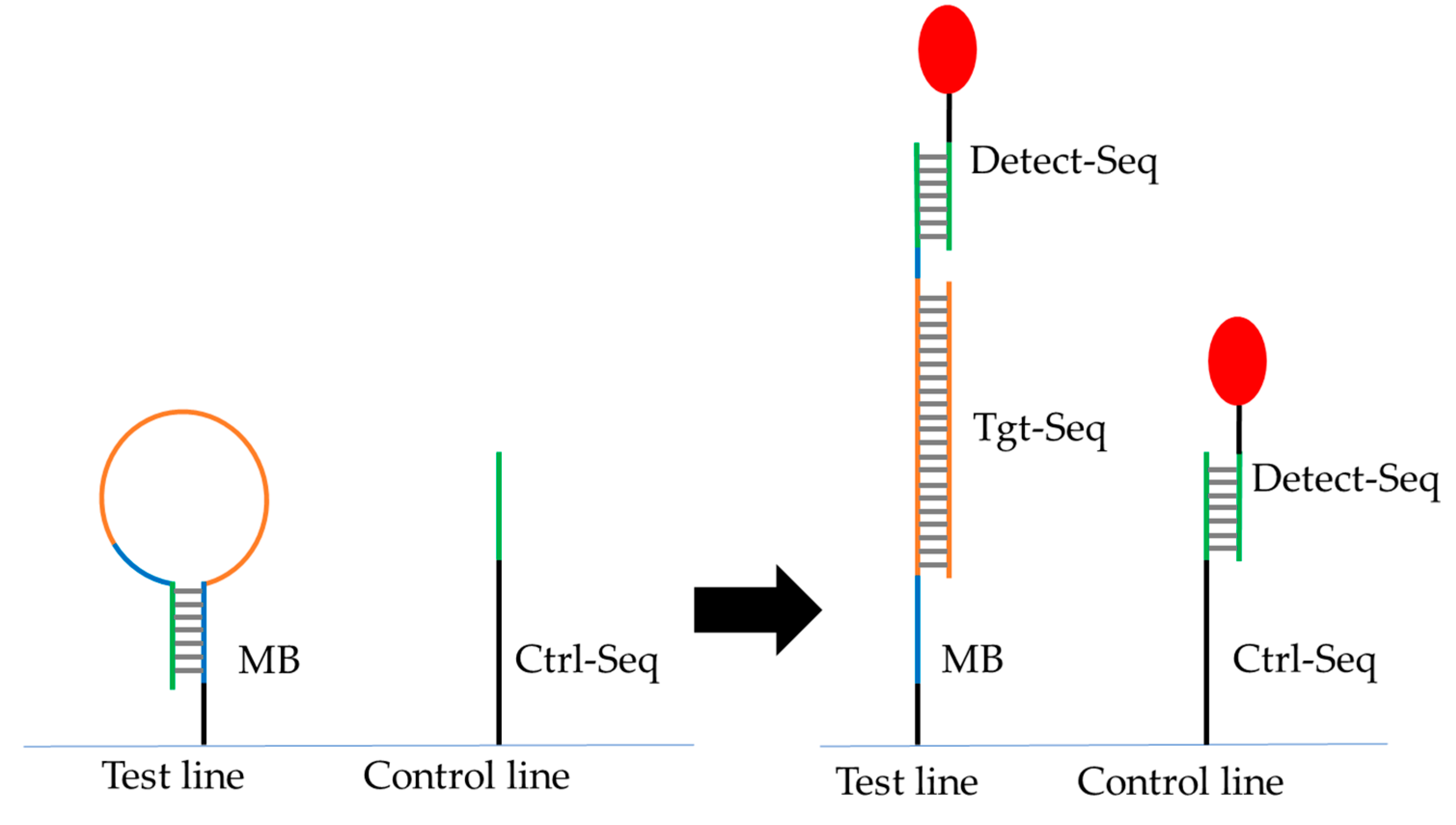 Preprints 113430 g003