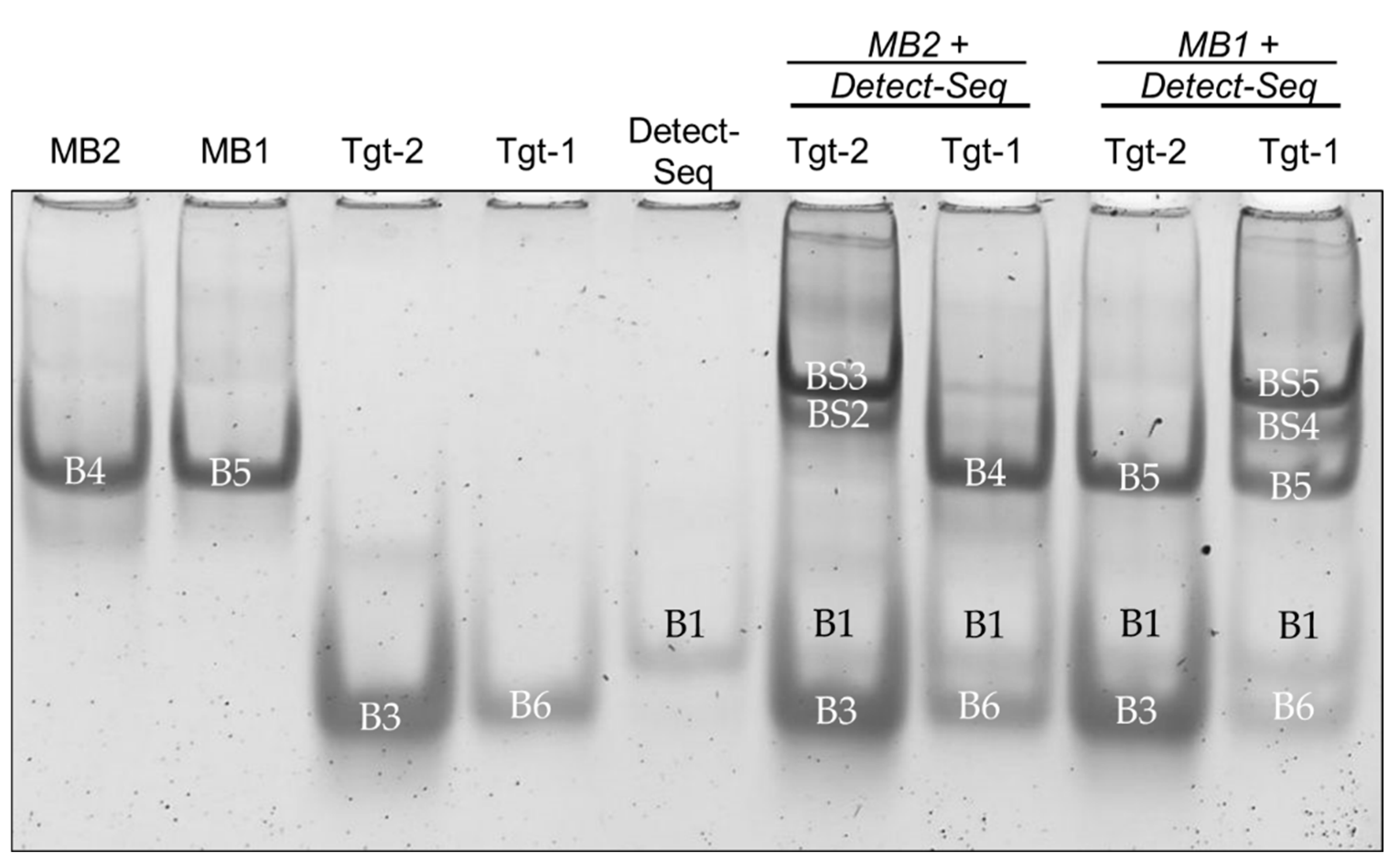 Preprints 113430 g005