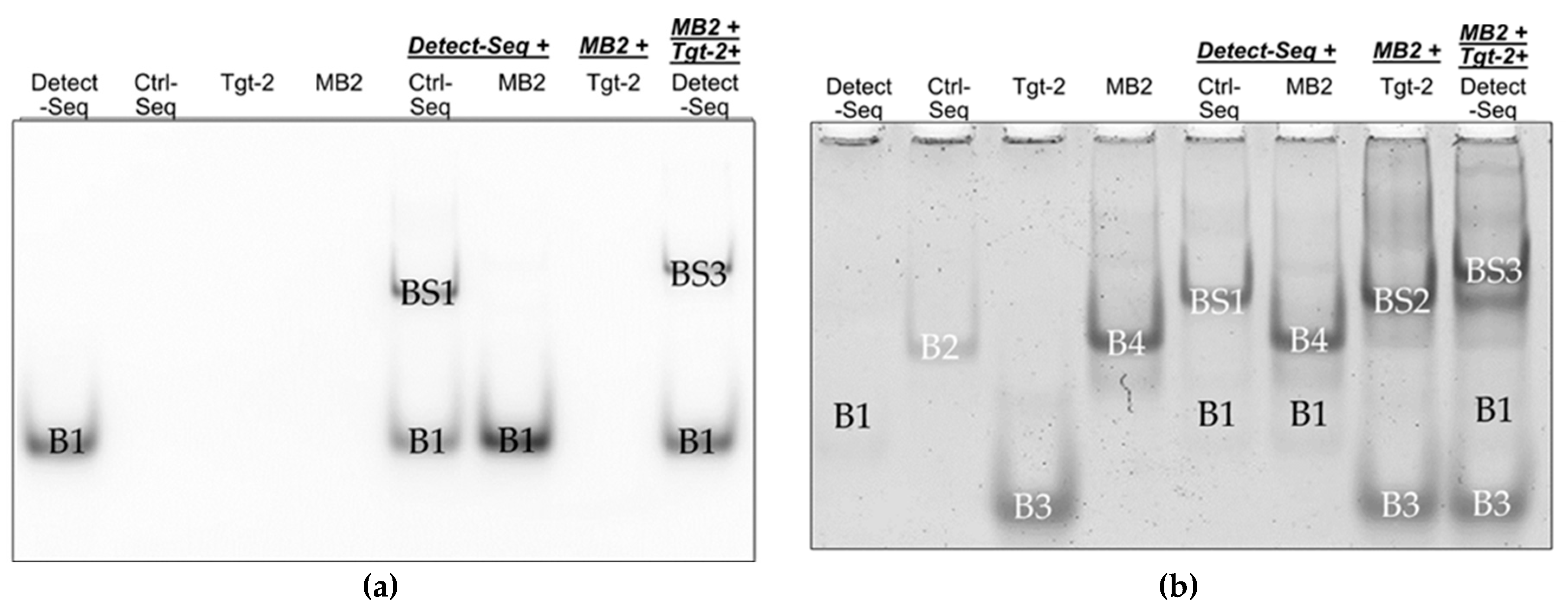 Preprints 113430 g006