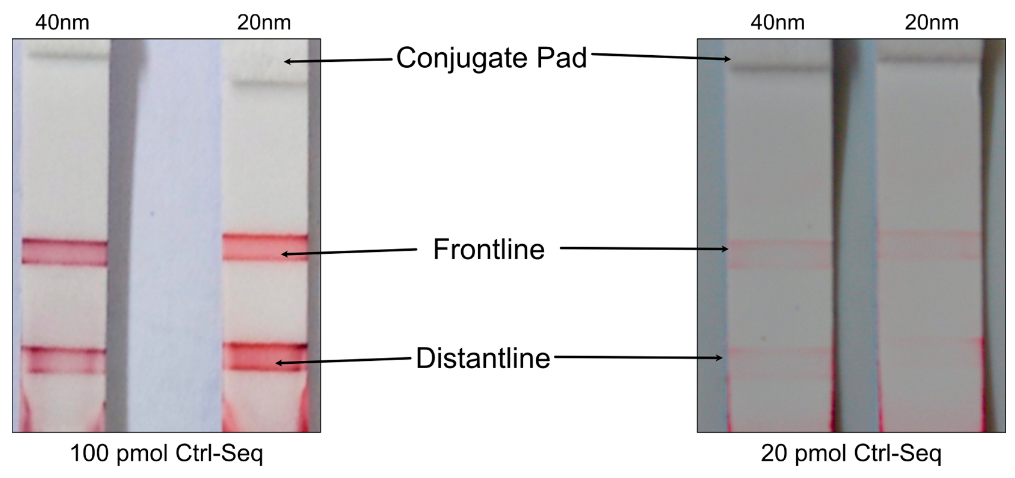 Preprints 113430 g007