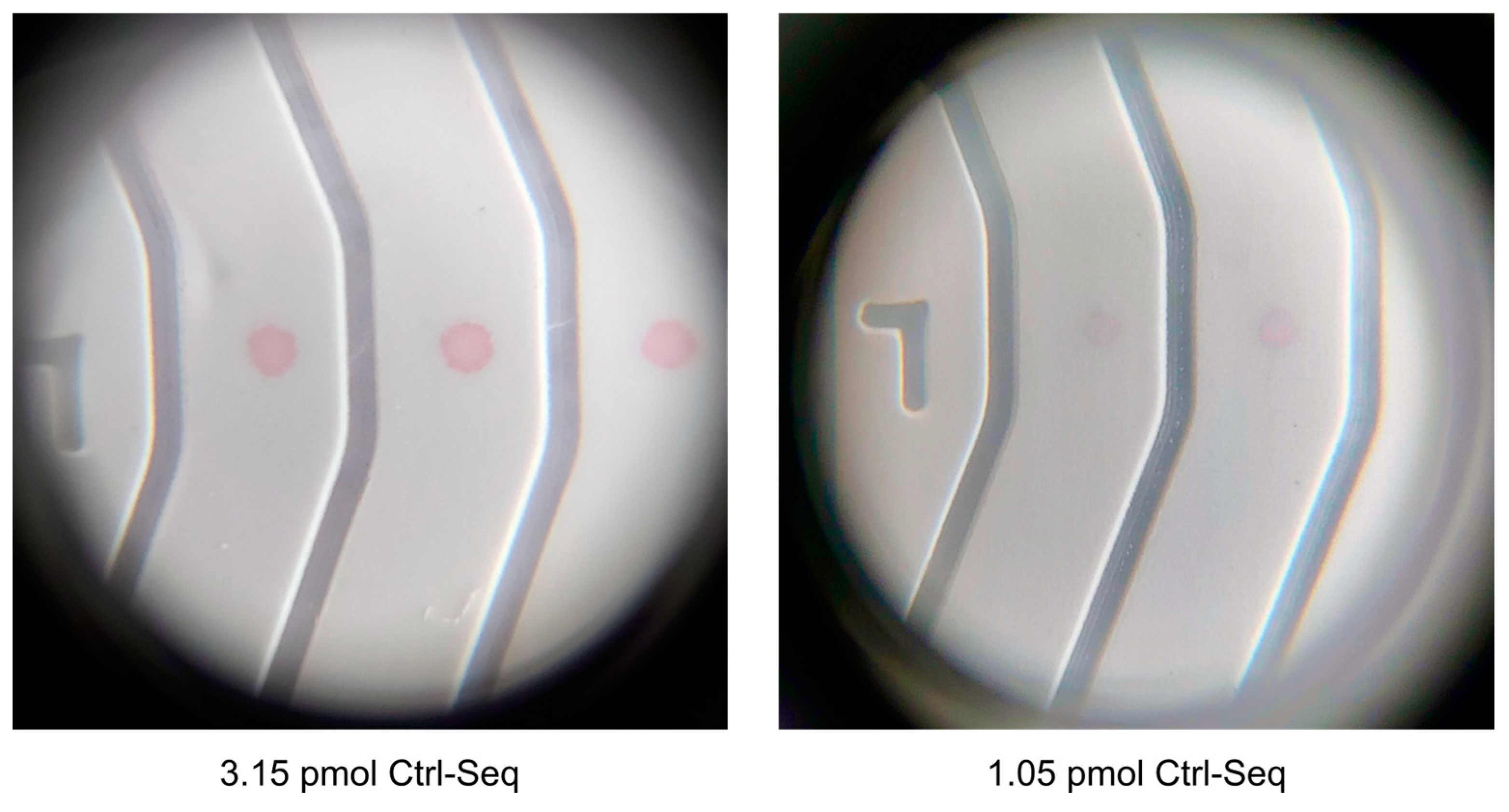 Preprints 113430 g008