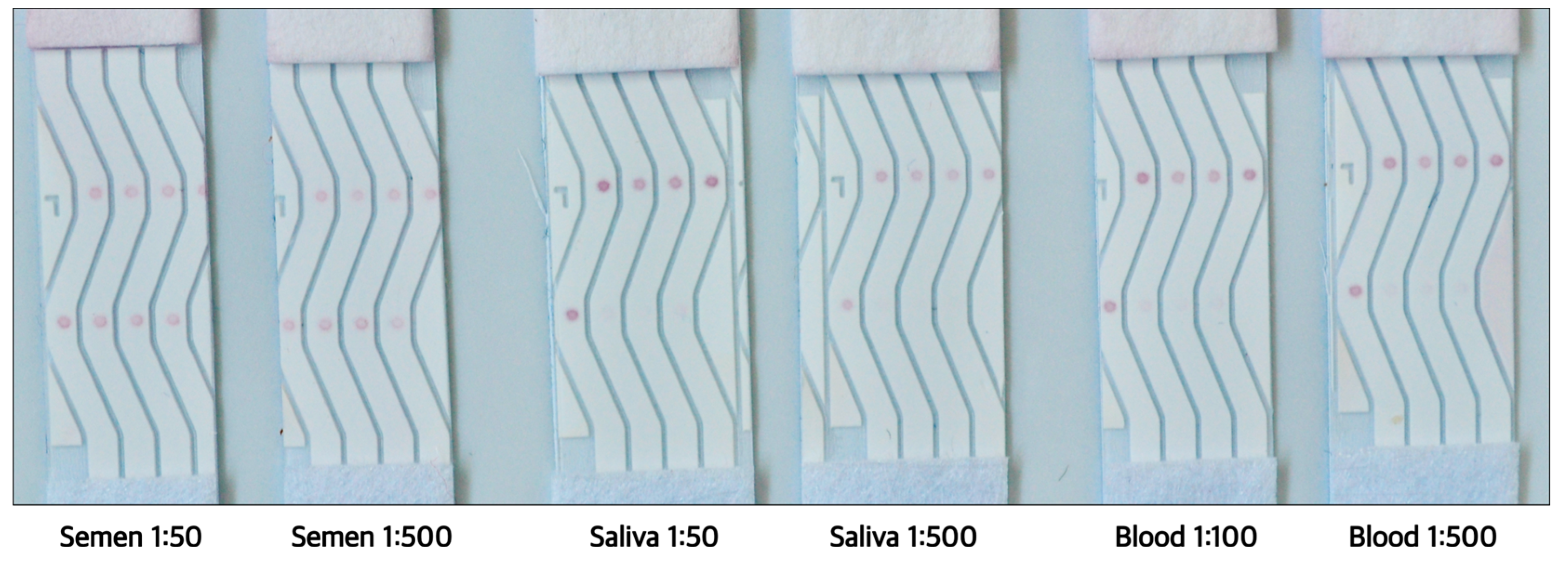 Preprints 113430 g013