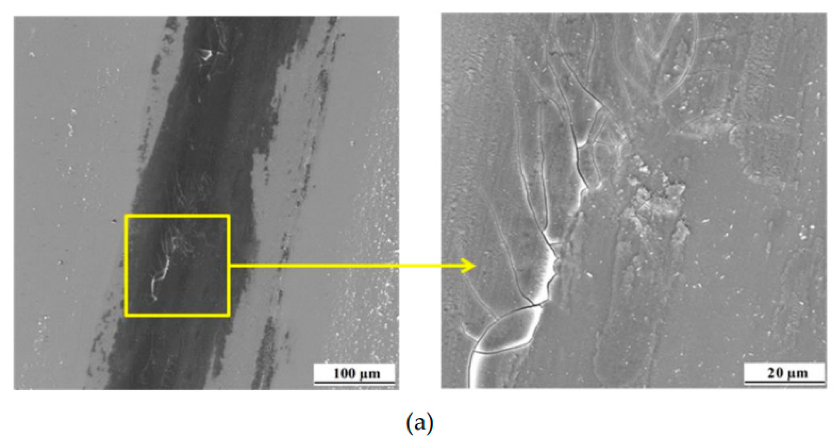 Preprints 86221 g010a