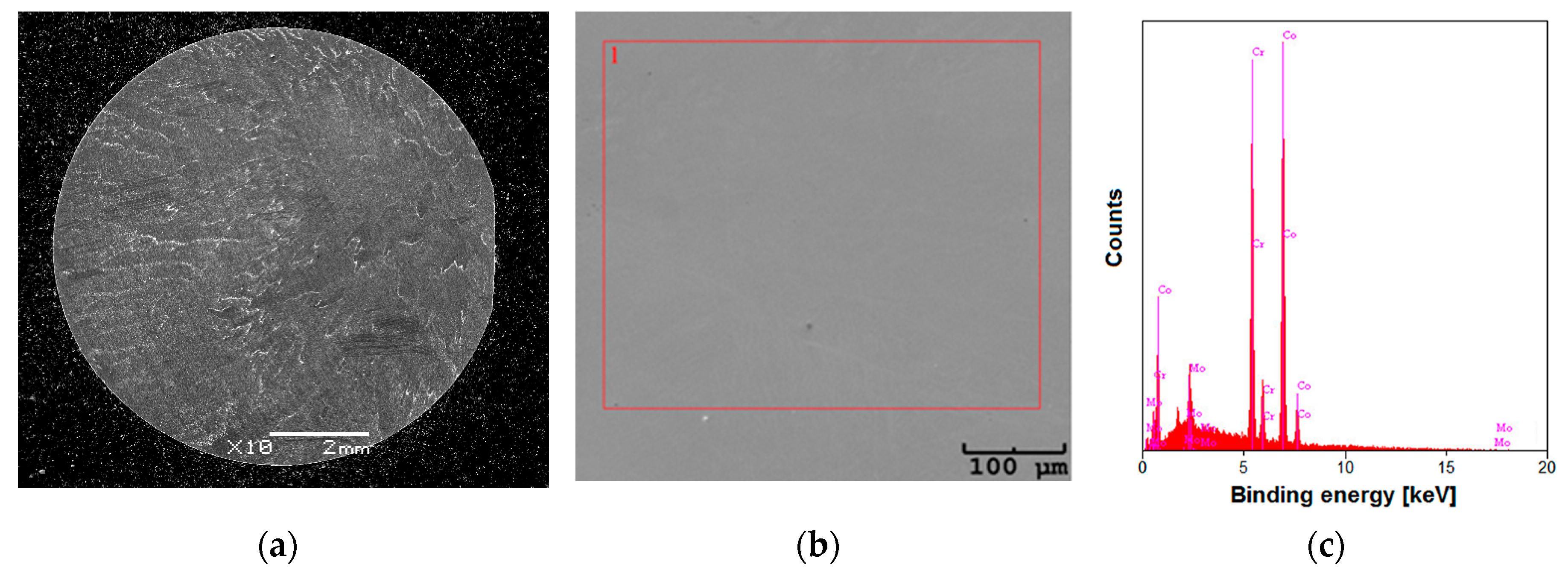 Preprints 88115 g002