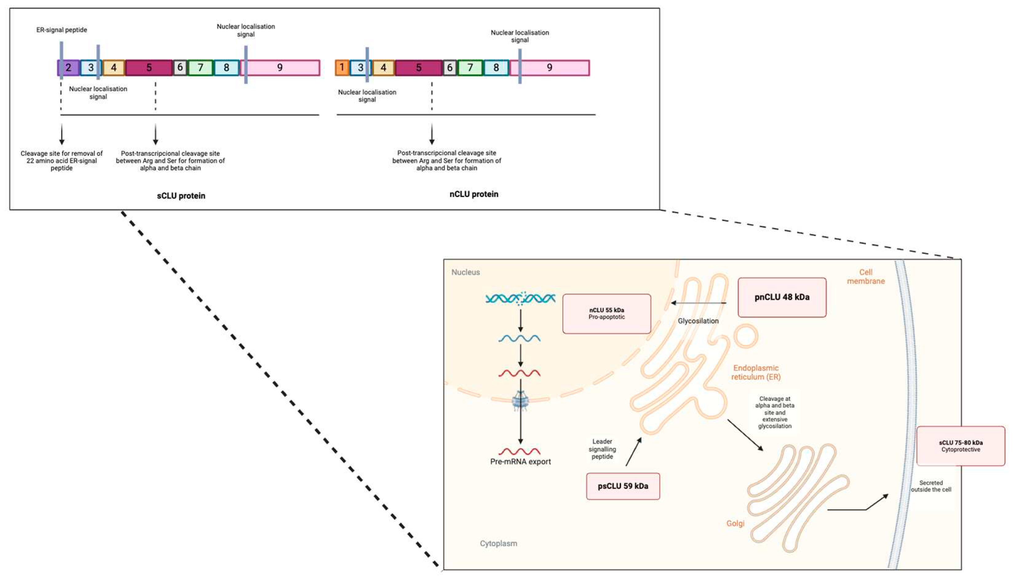 Preprints 98428 g001