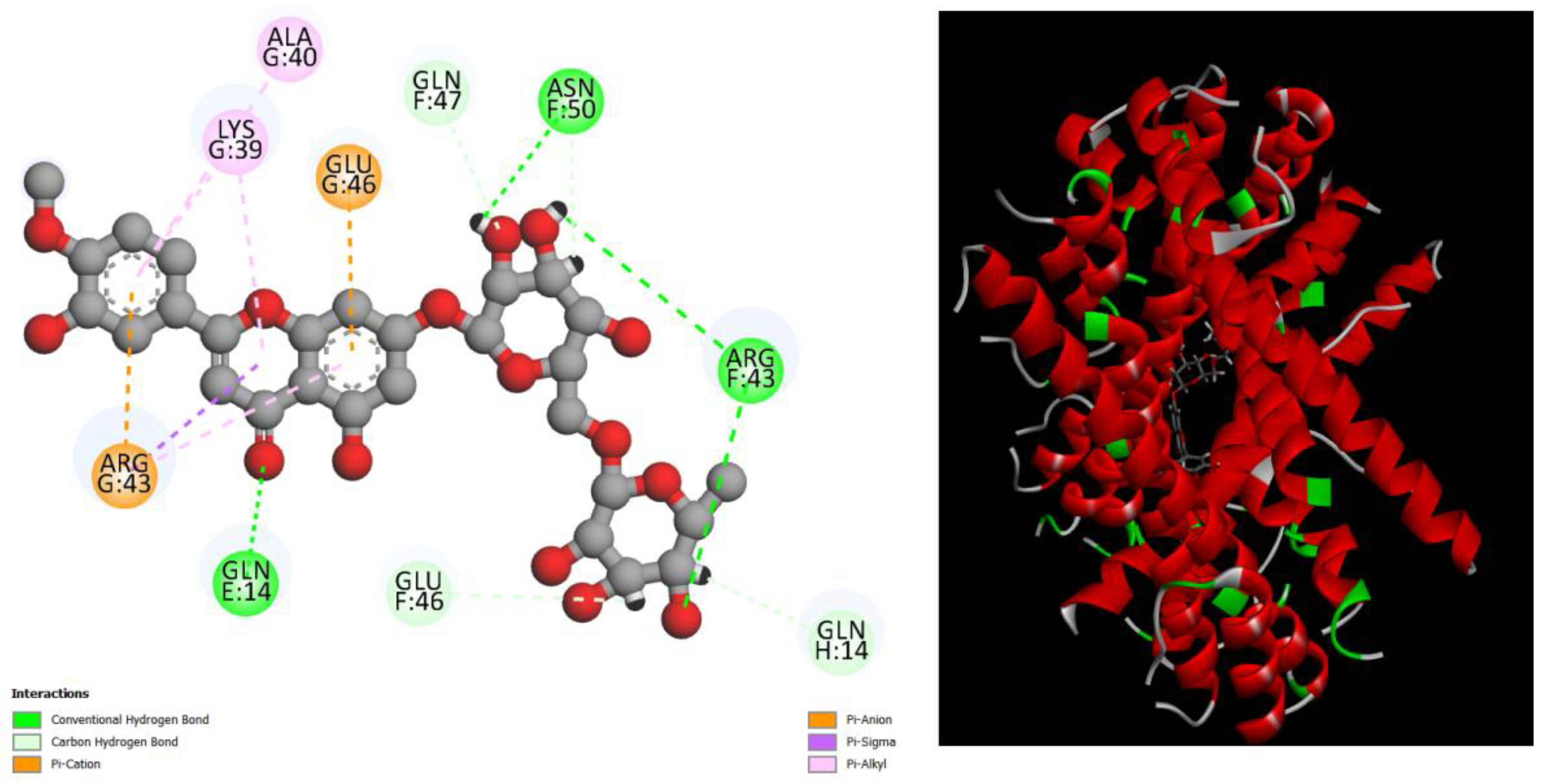 Preprints 98173 g004