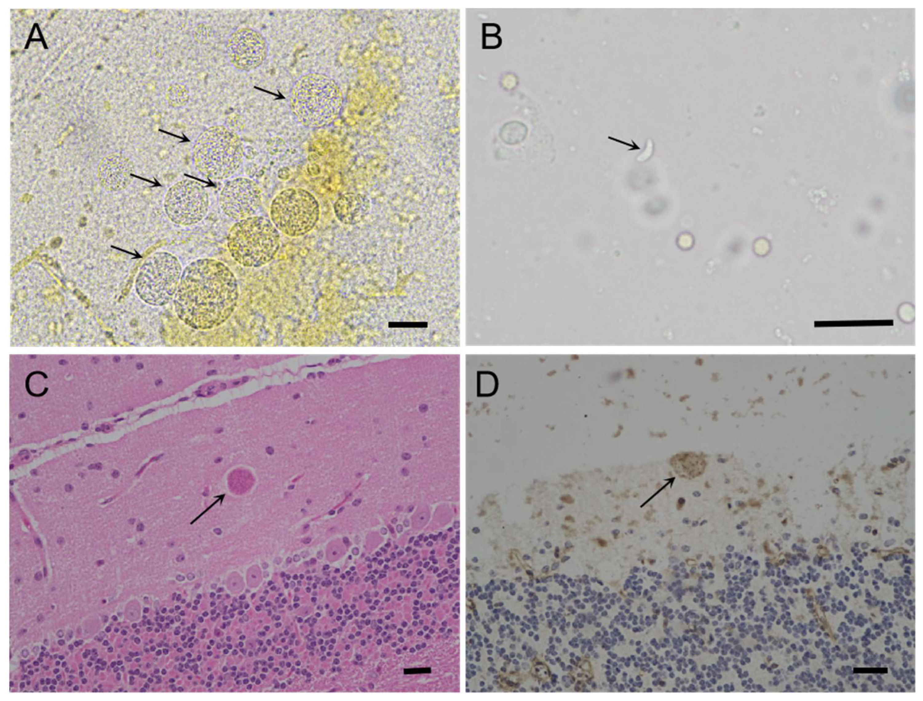 Preprints 85880 g002