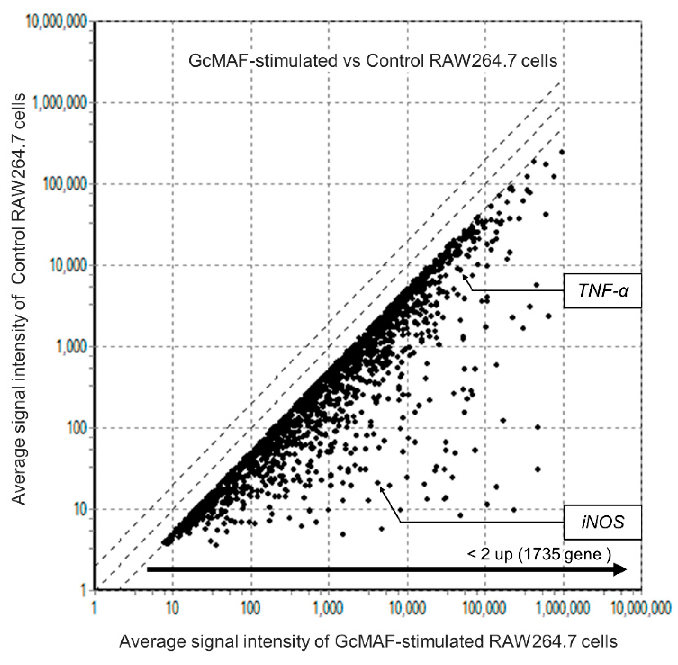 Preprints 109486 g003