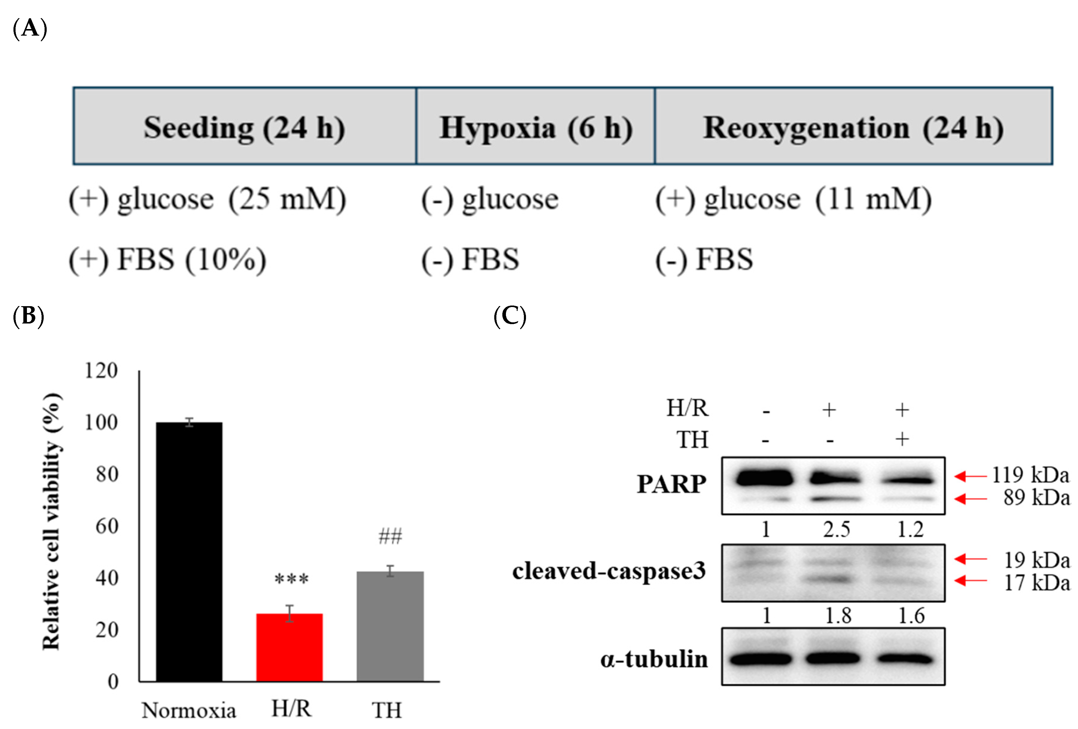 Preprints 94882 g003