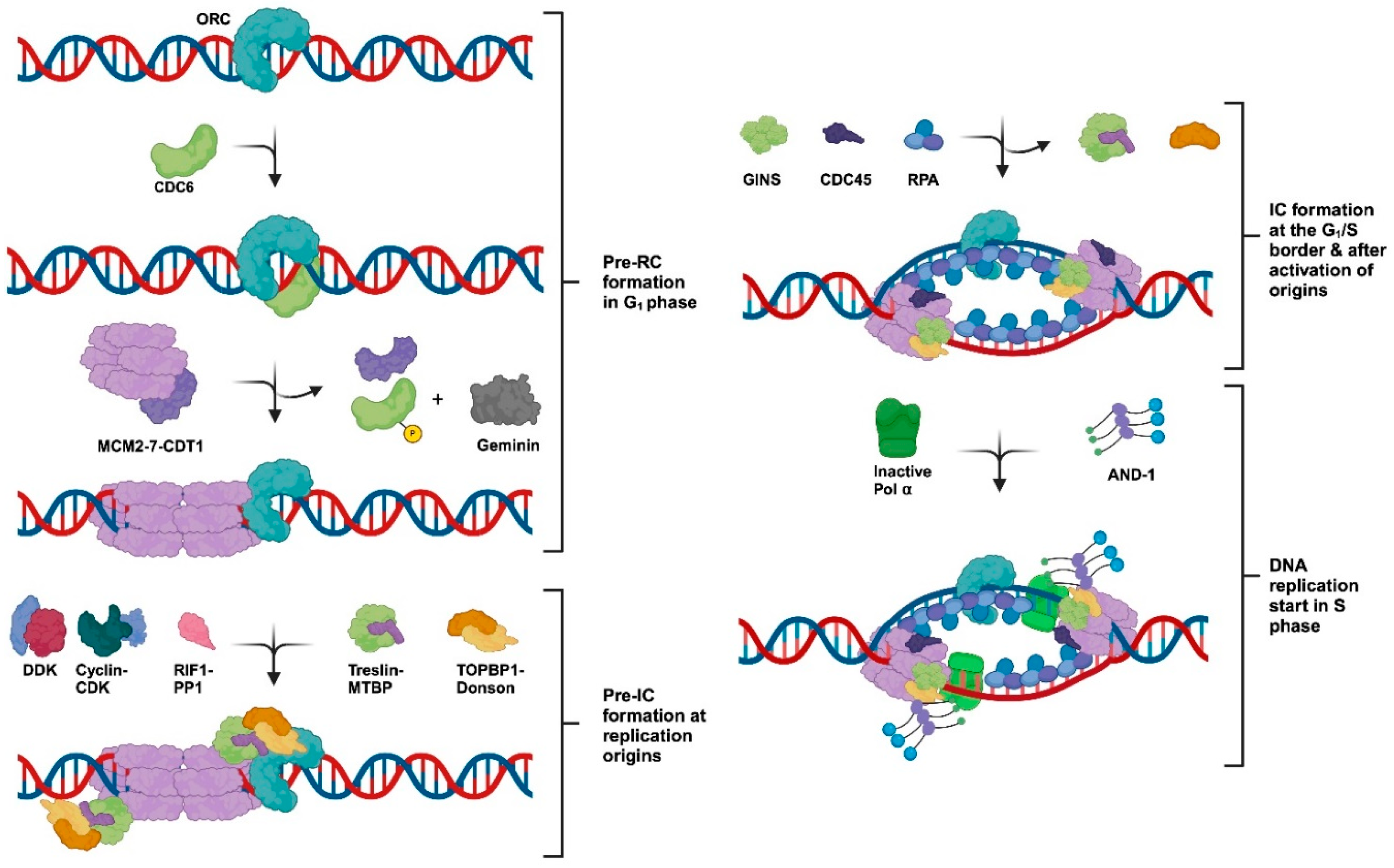 Preprints 99668 g001