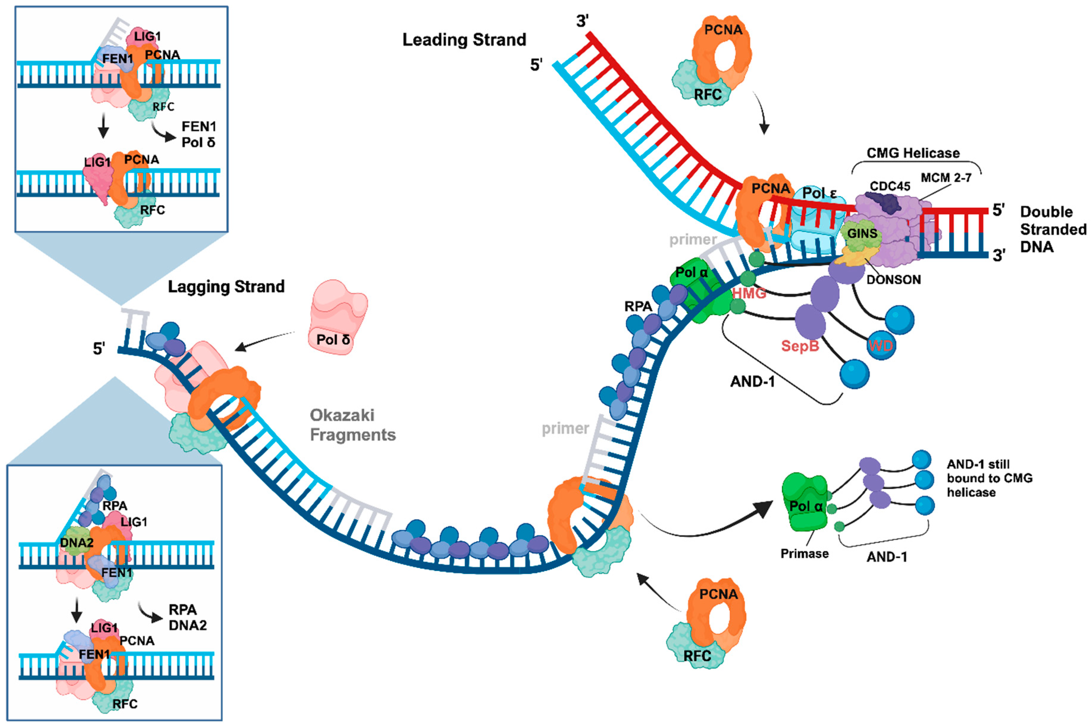 Preprints 99668 g002