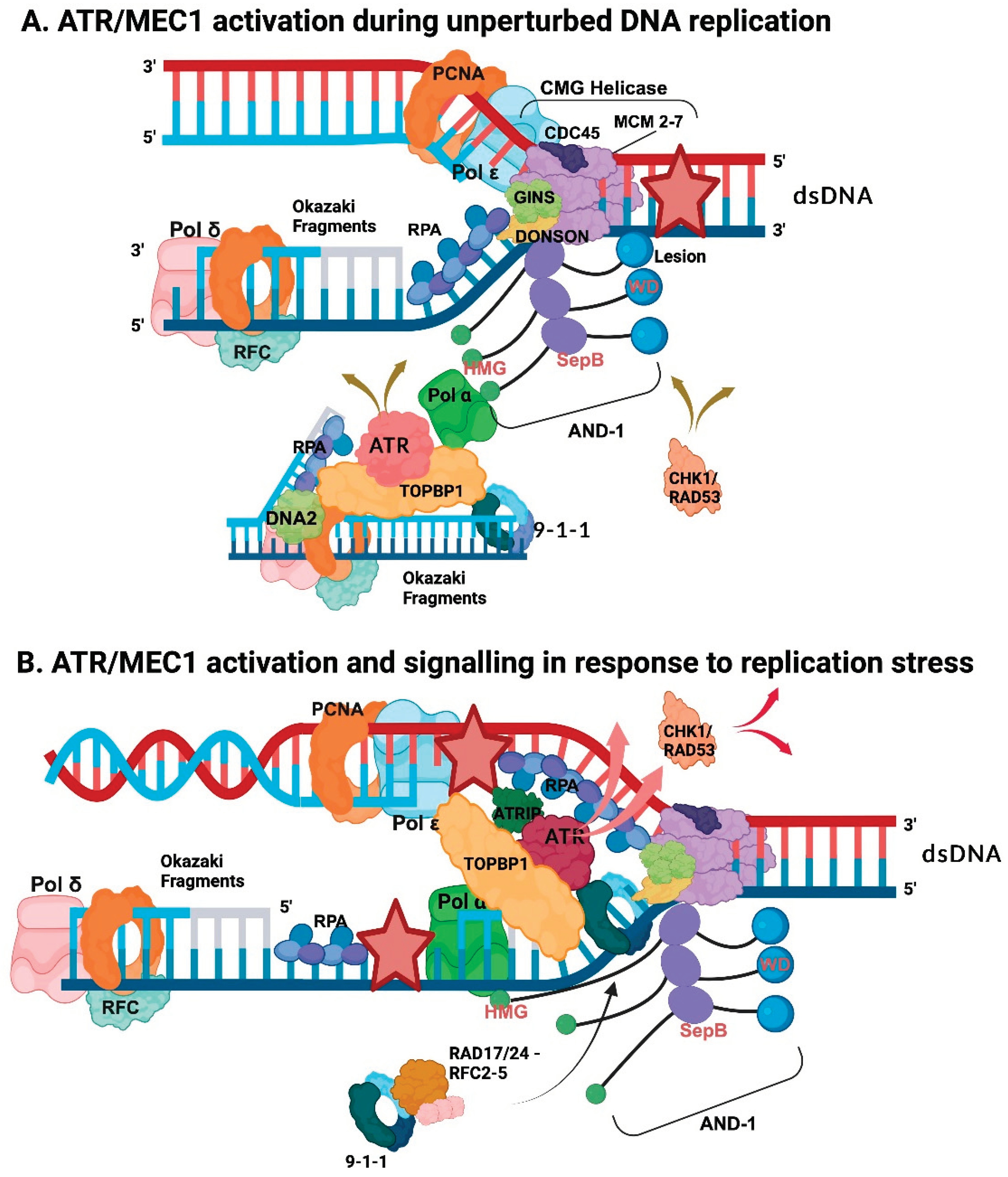 Preprints 99668 g003