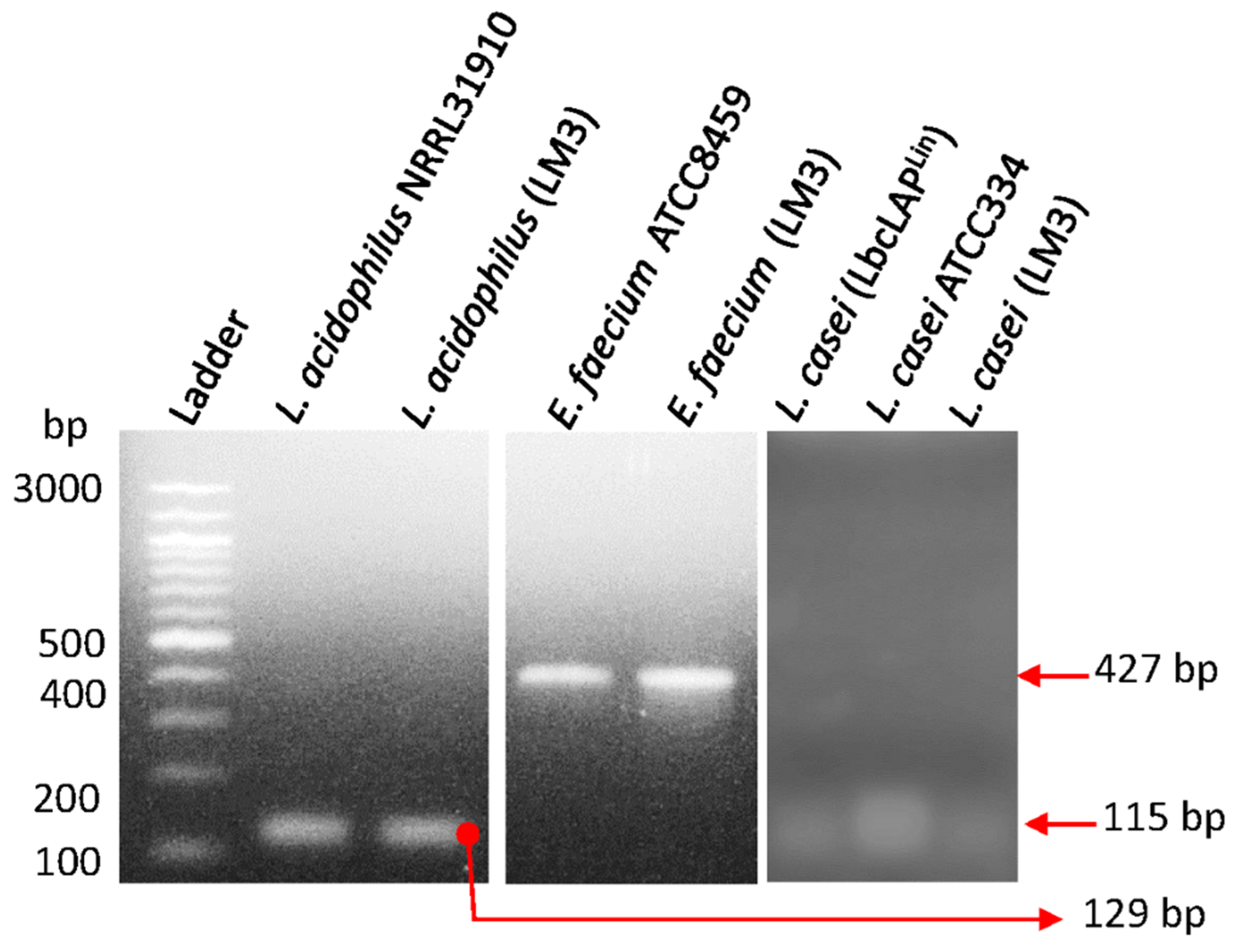 Preprints 117850 g001