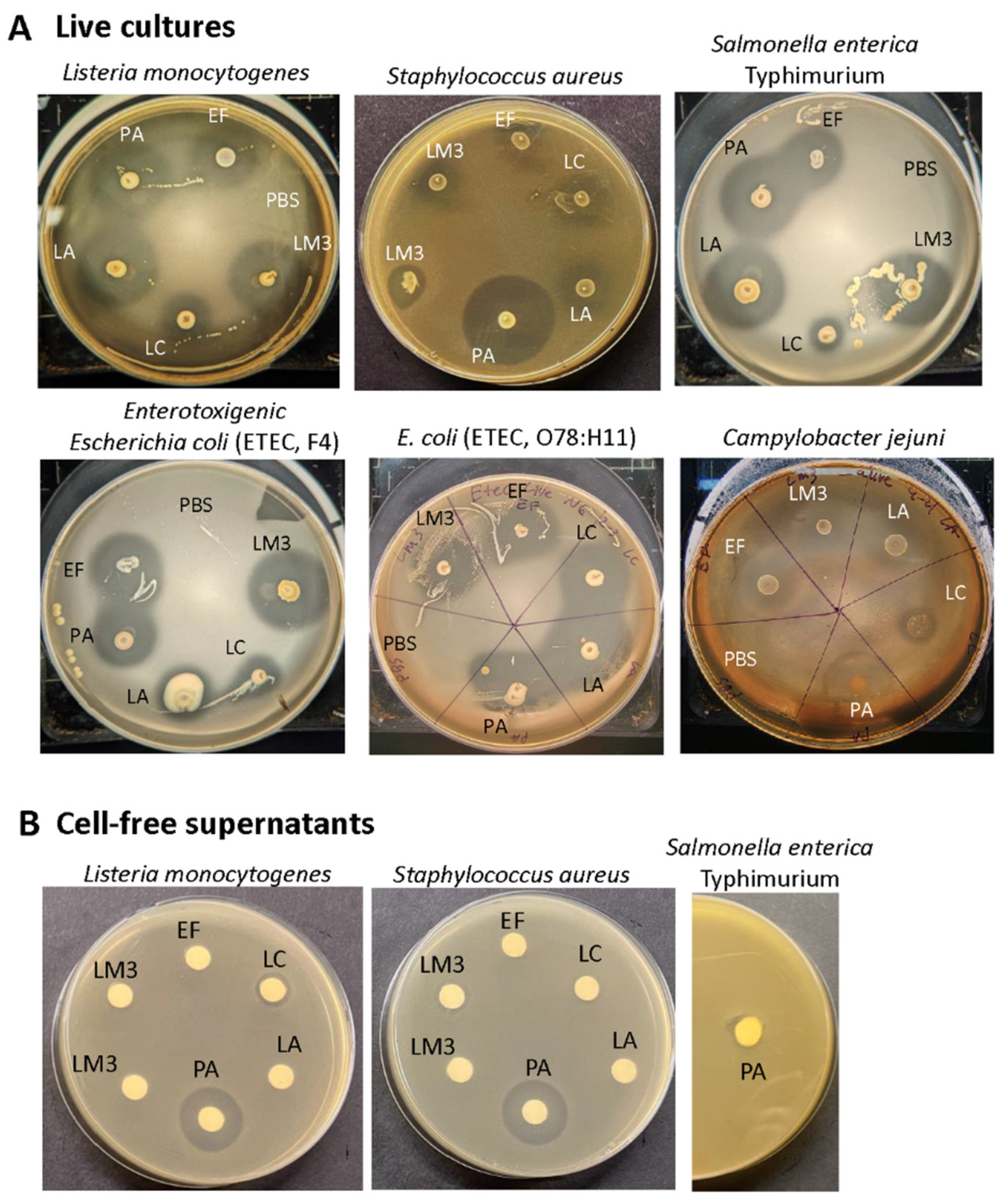 Preprints 117850 g002