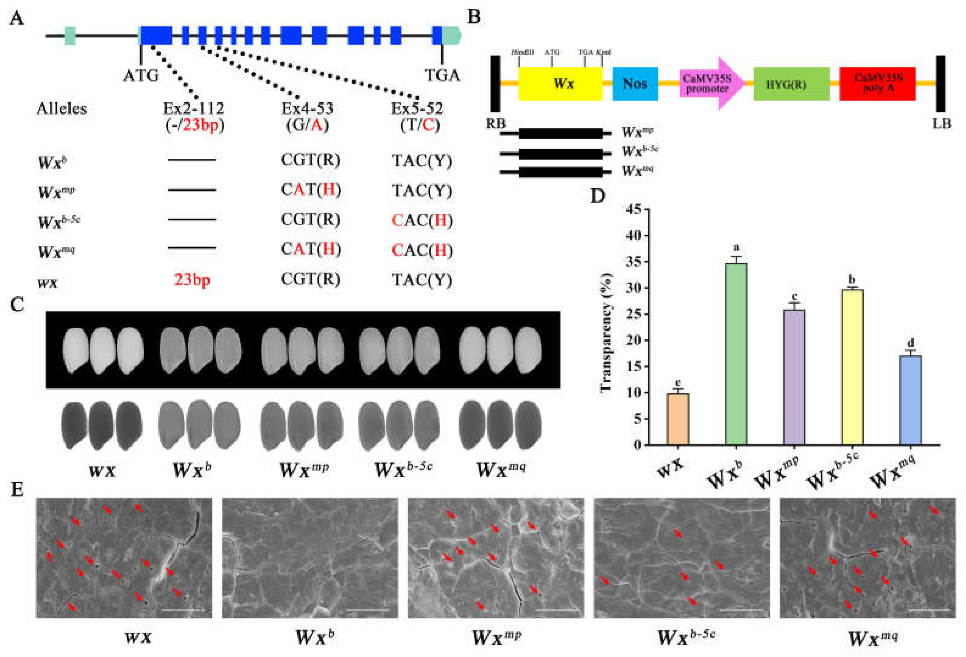 Preprints 104149 g001