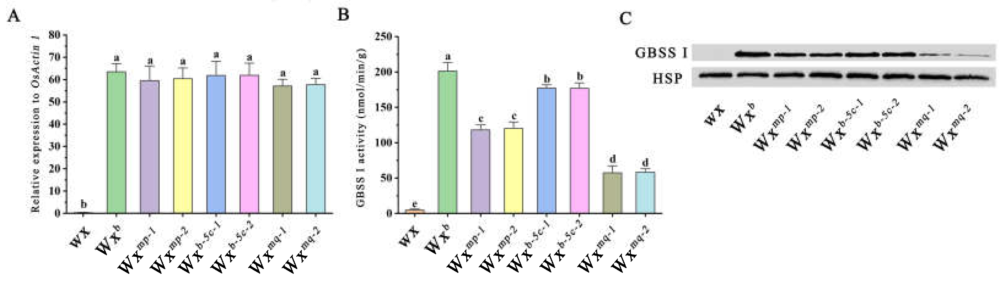 Preprints 104149 g004