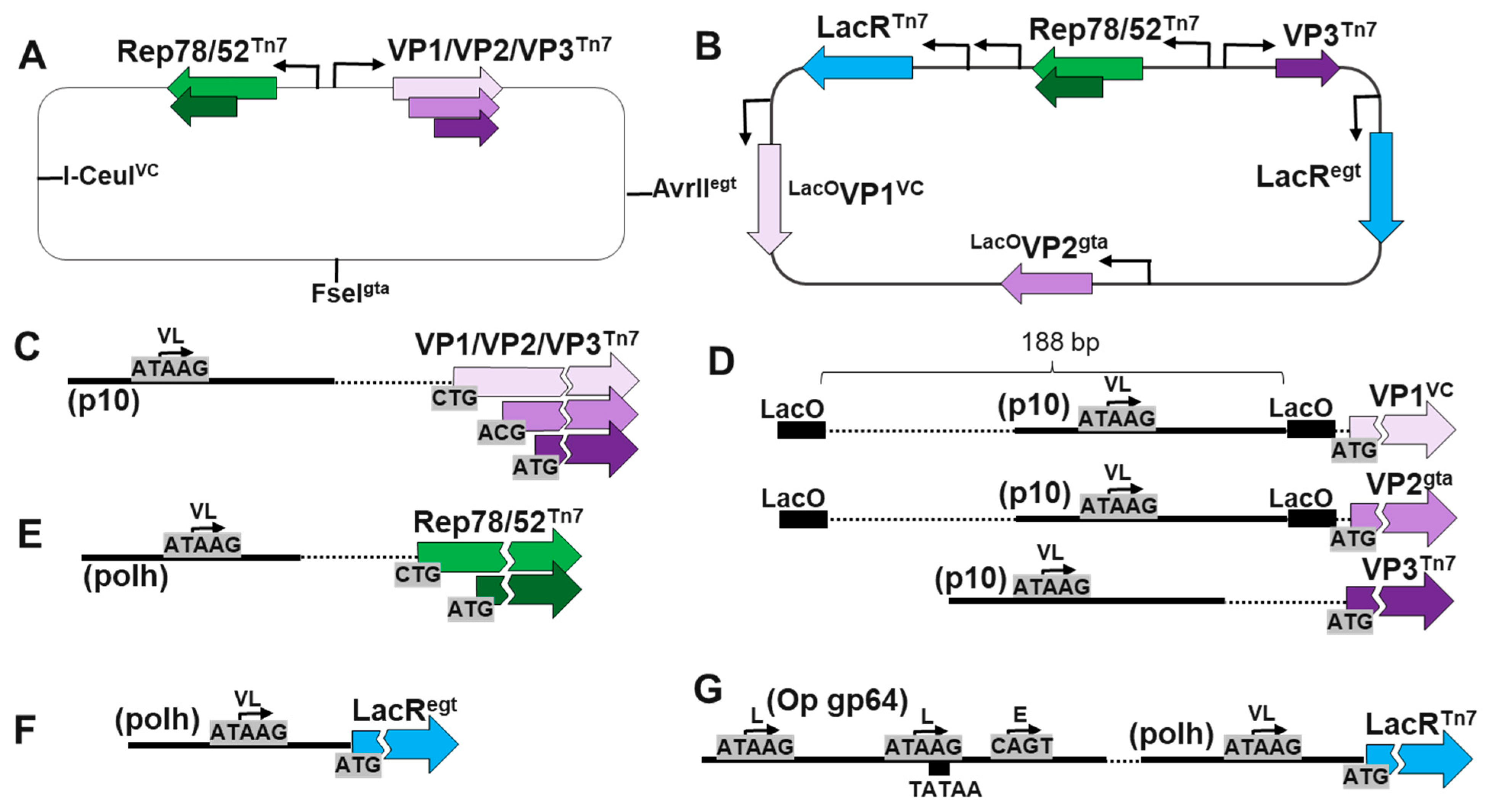 Preprints 90908 g001