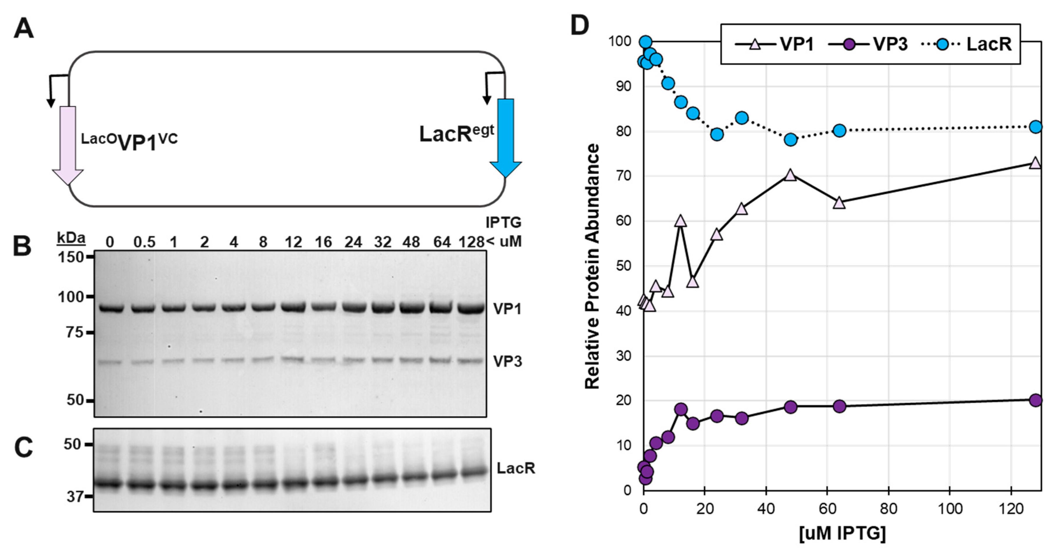 Preprints 90908 g002