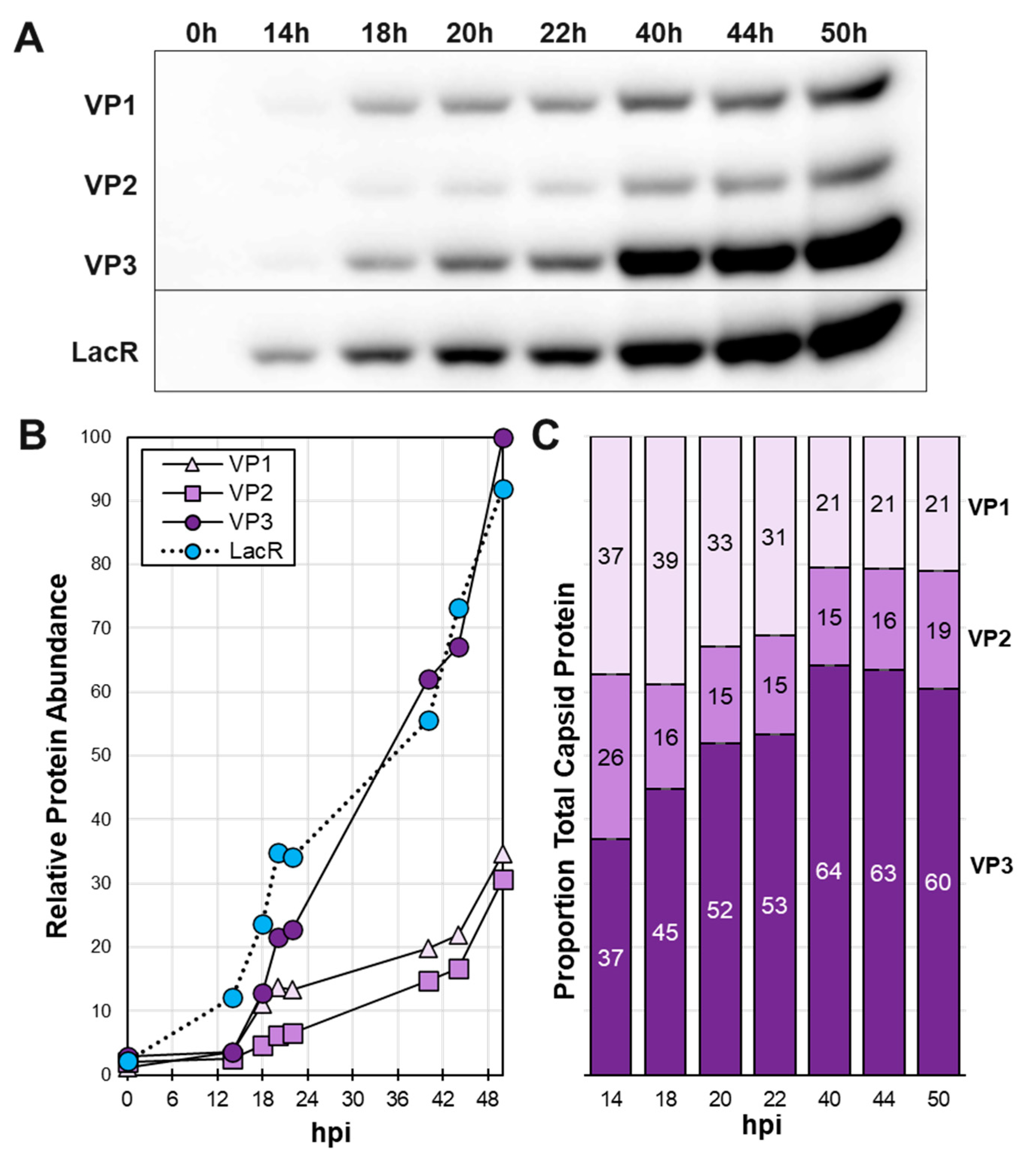 Preprints 90908 g003