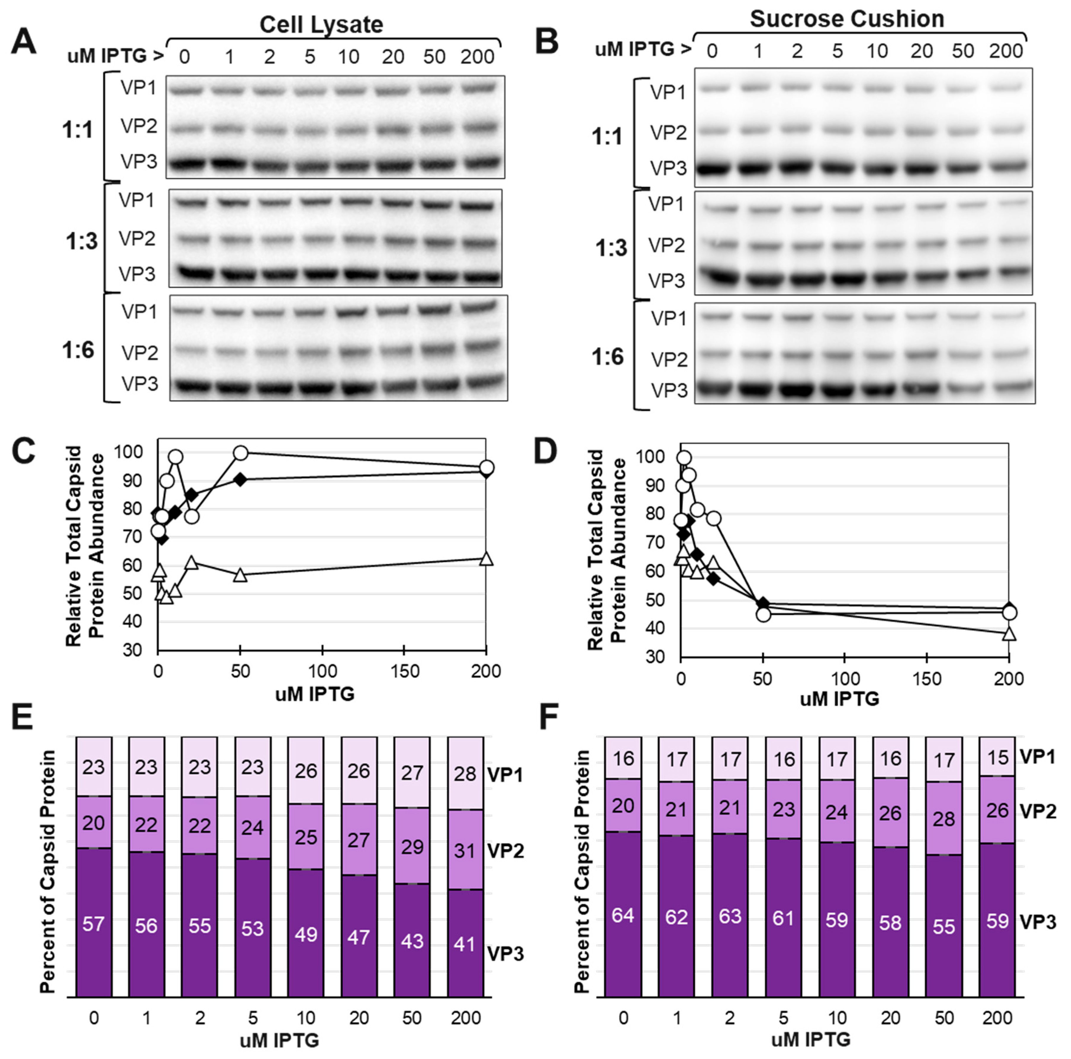 Preprints 90908 g006