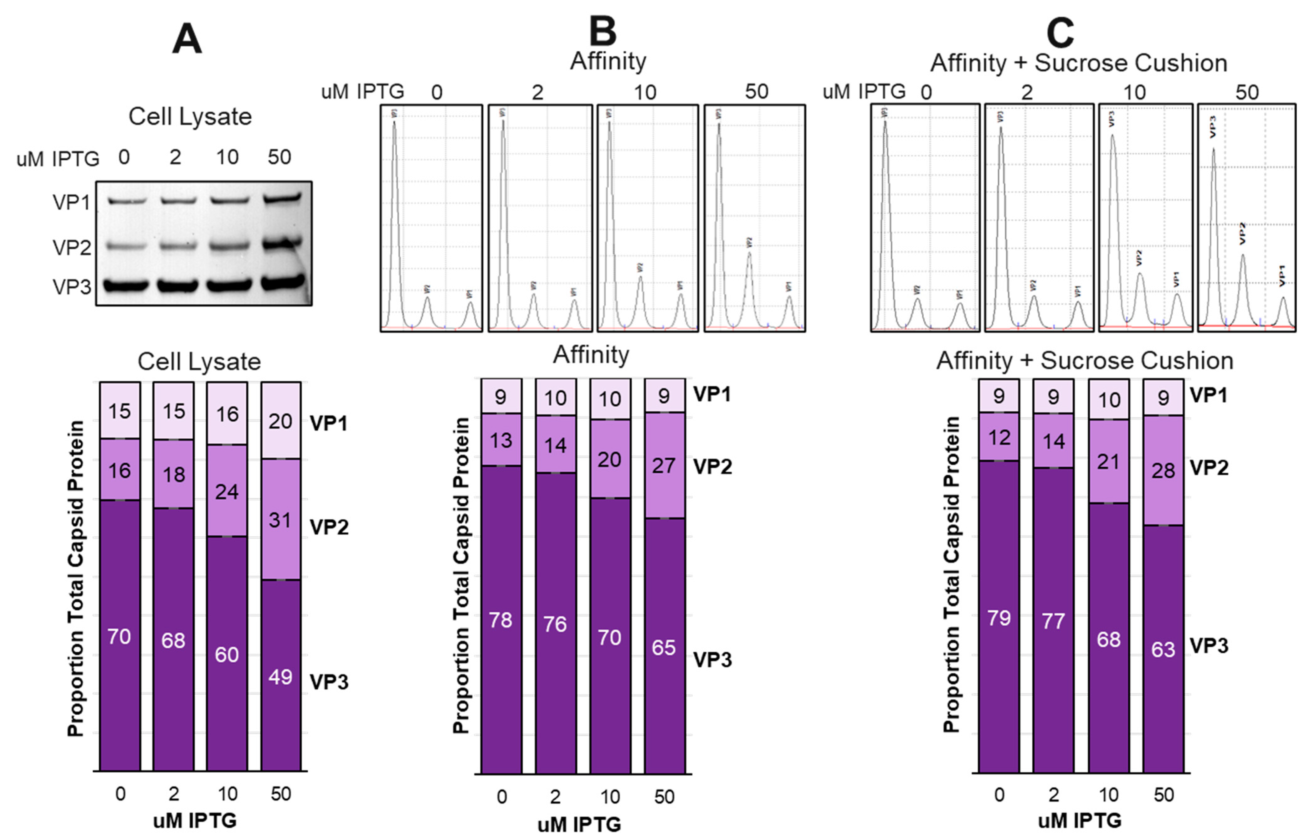 Preprints 90908 g008