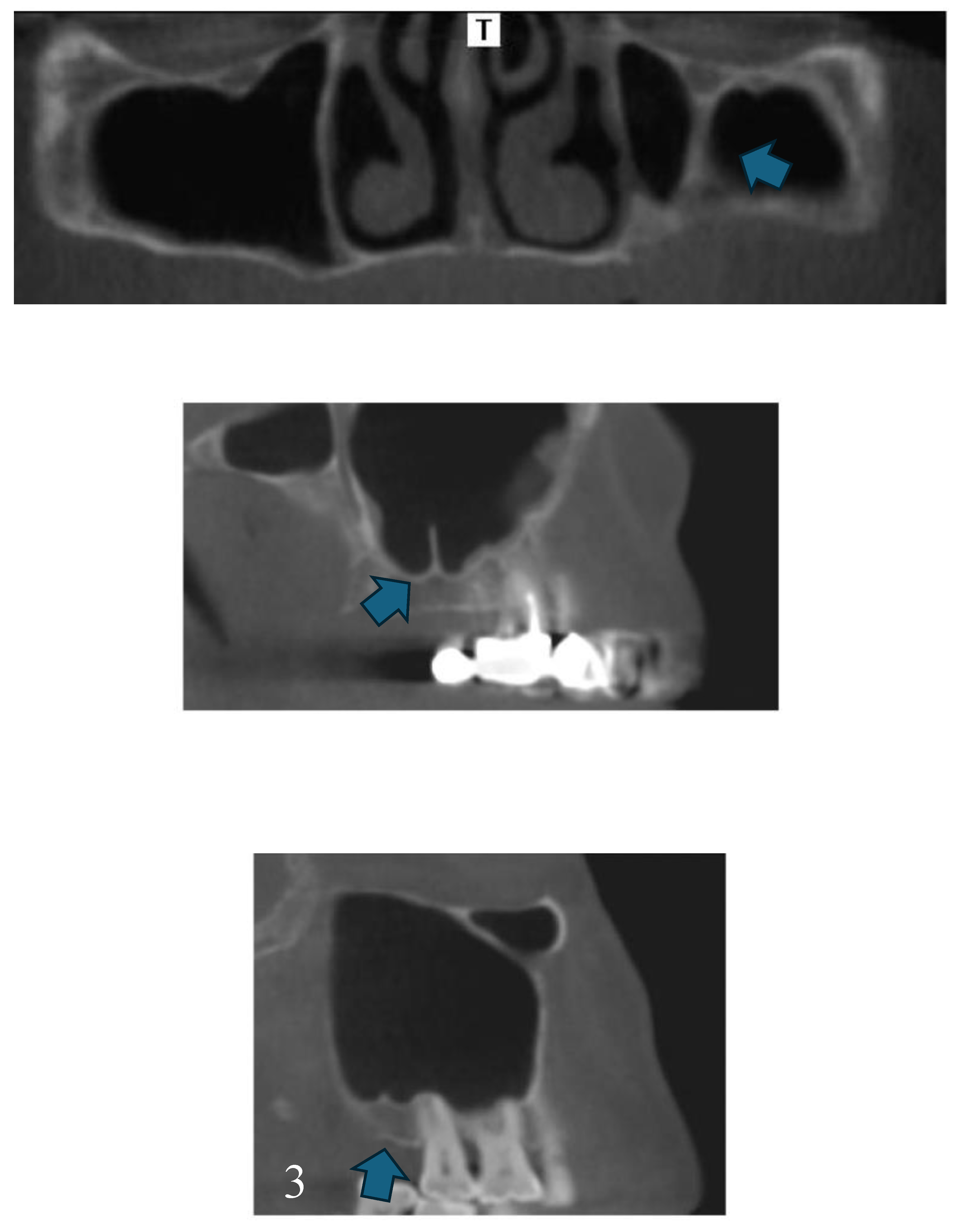 Preprints 120704 g006