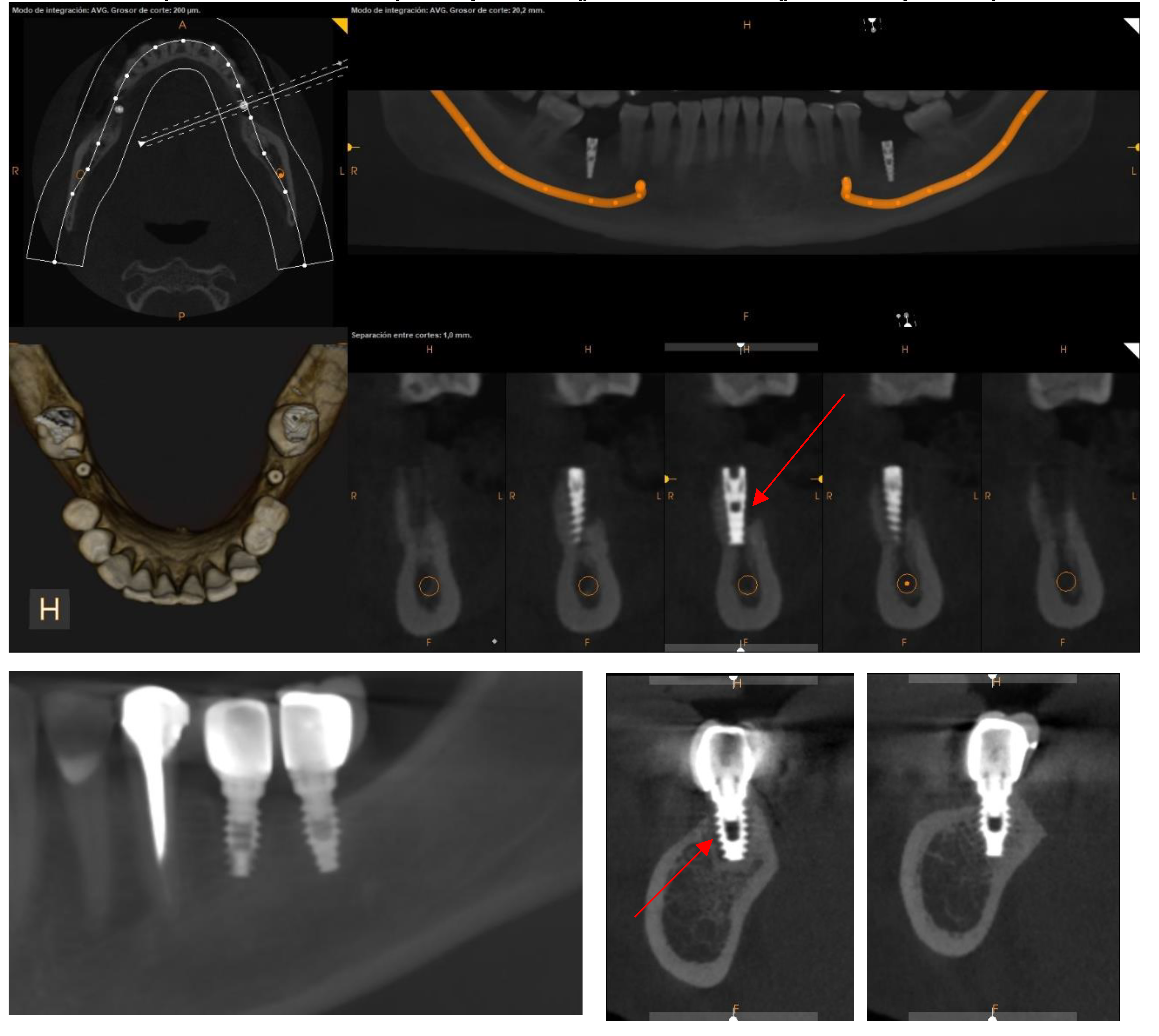 Preprints 120704 g012