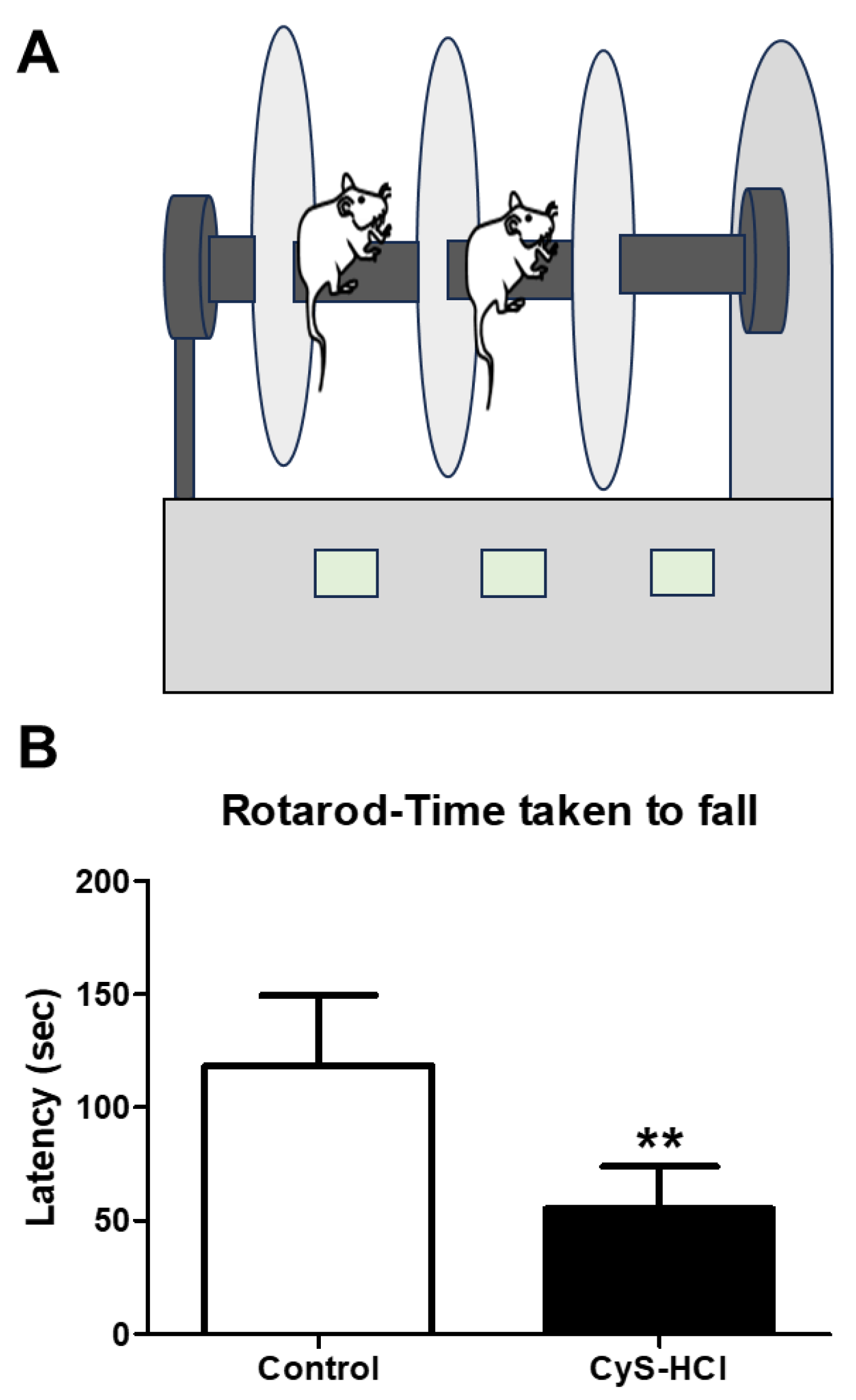 Preprints 108501 g003