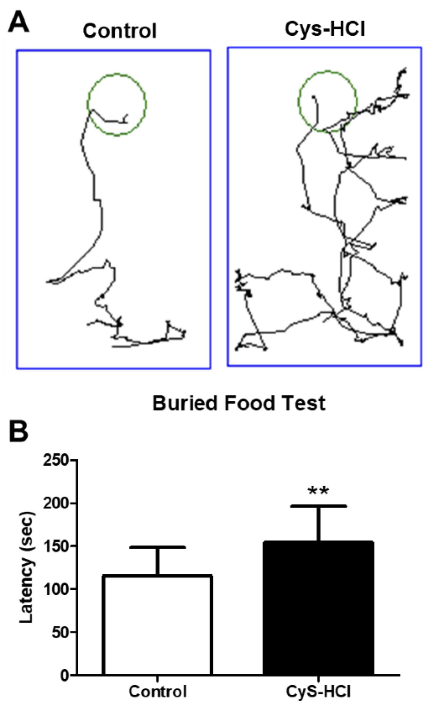 Preprints 108501 g004