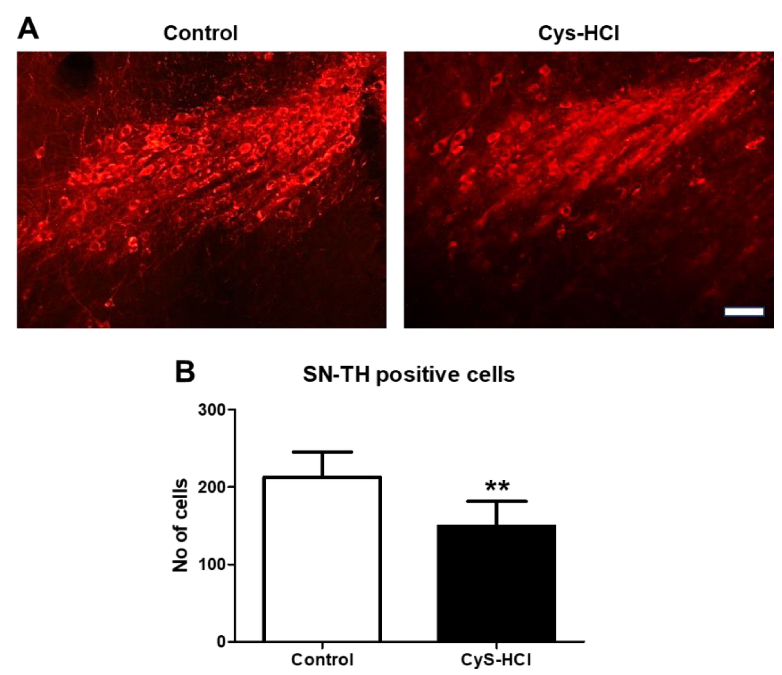 Preprints 108501 g006