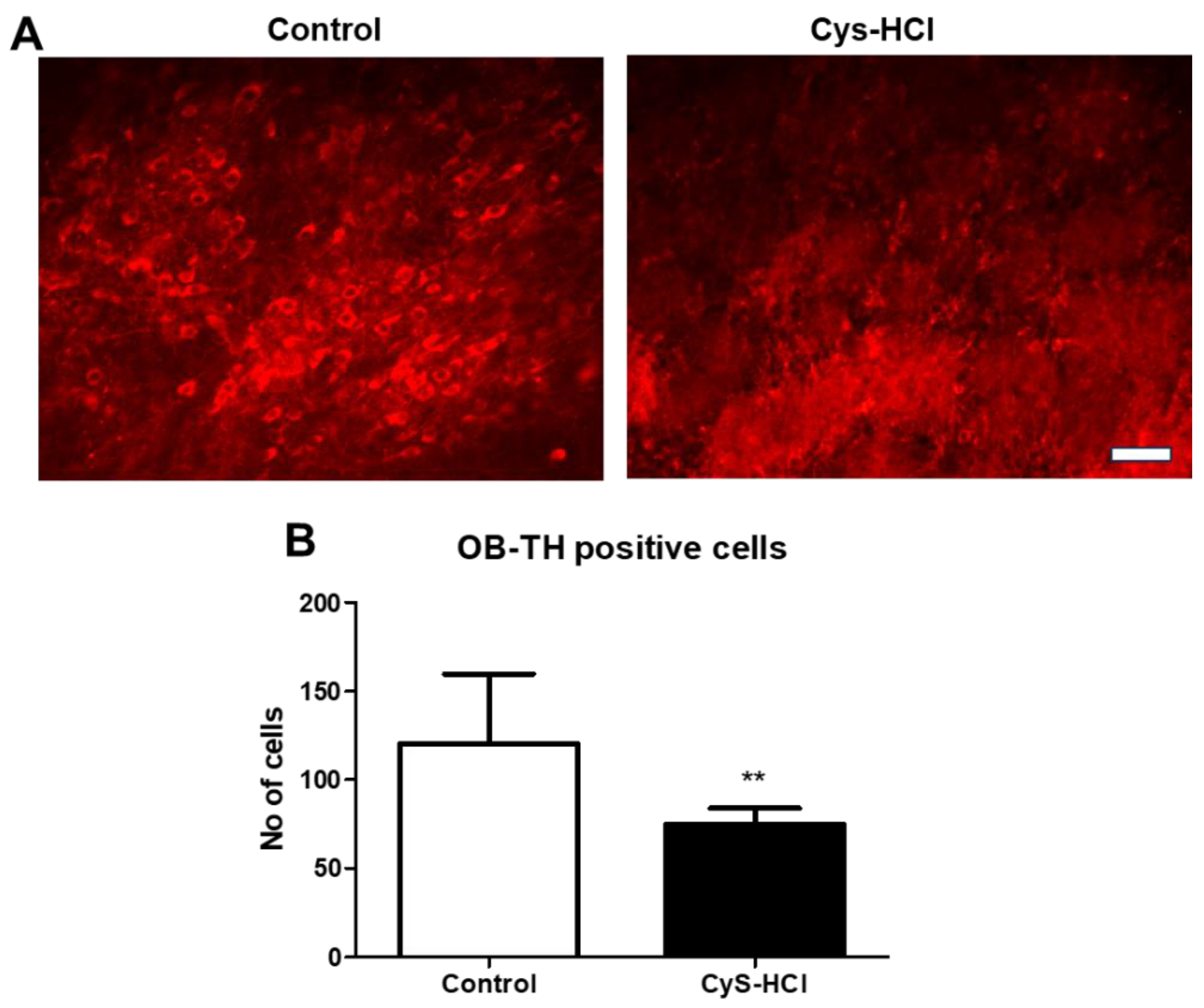 Preprints 108501 g007