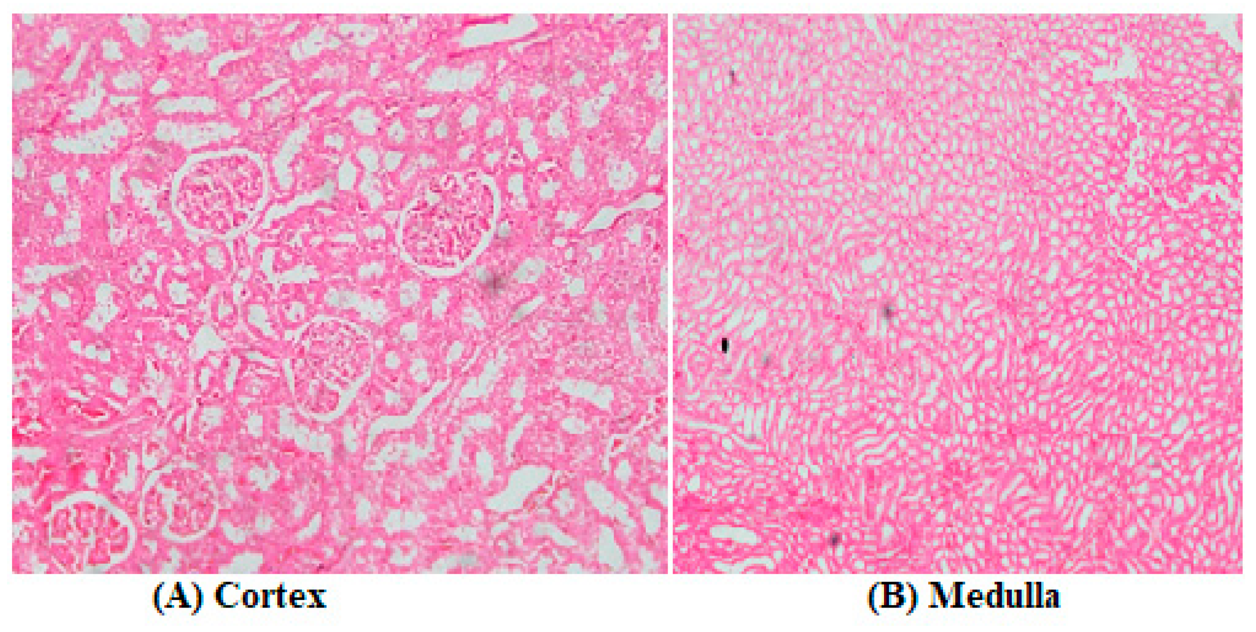 Preprints 92313 g009