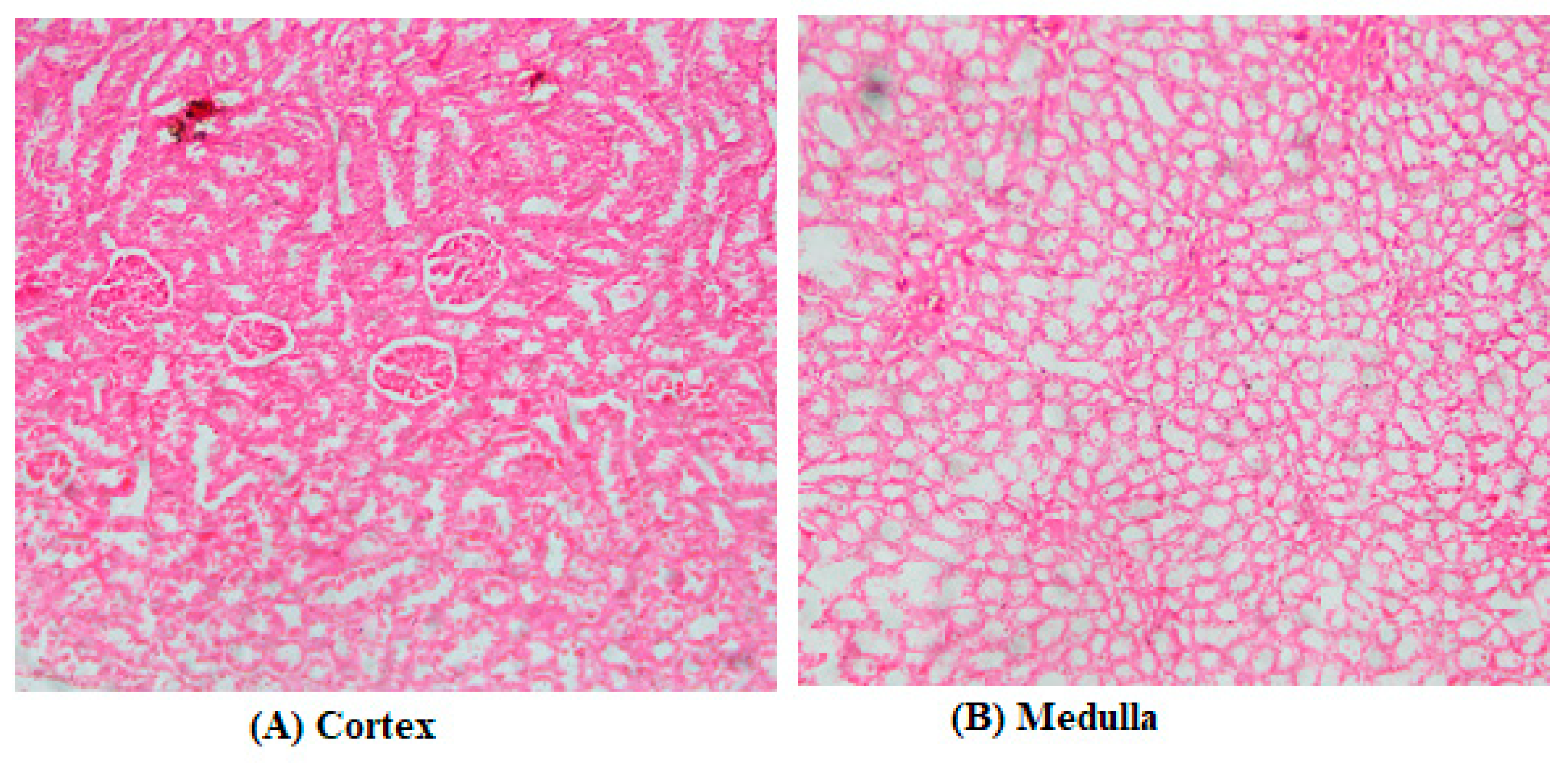 Preprints 92313 g011