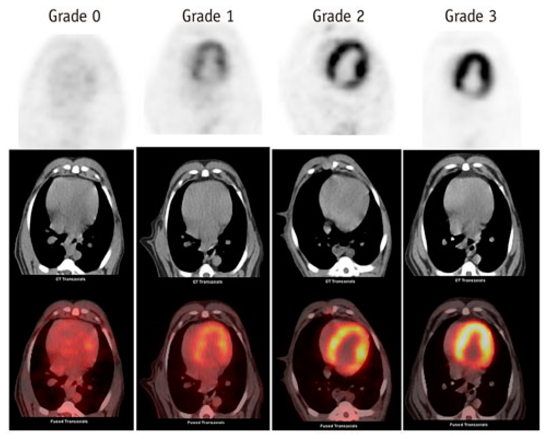 Preprints 98203 g002