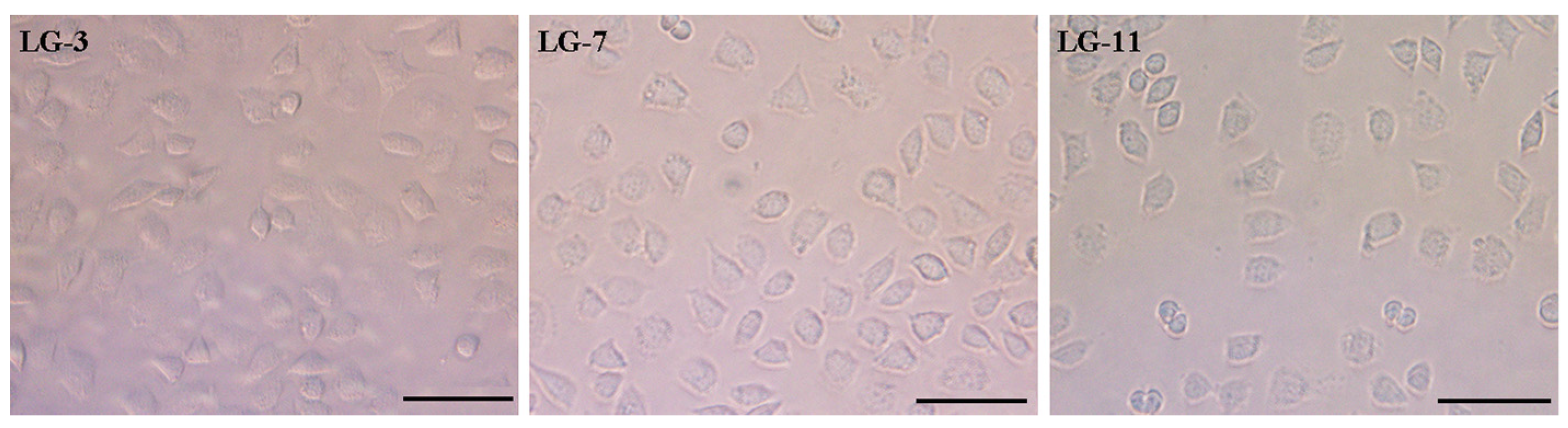 Preprints 121276 g010