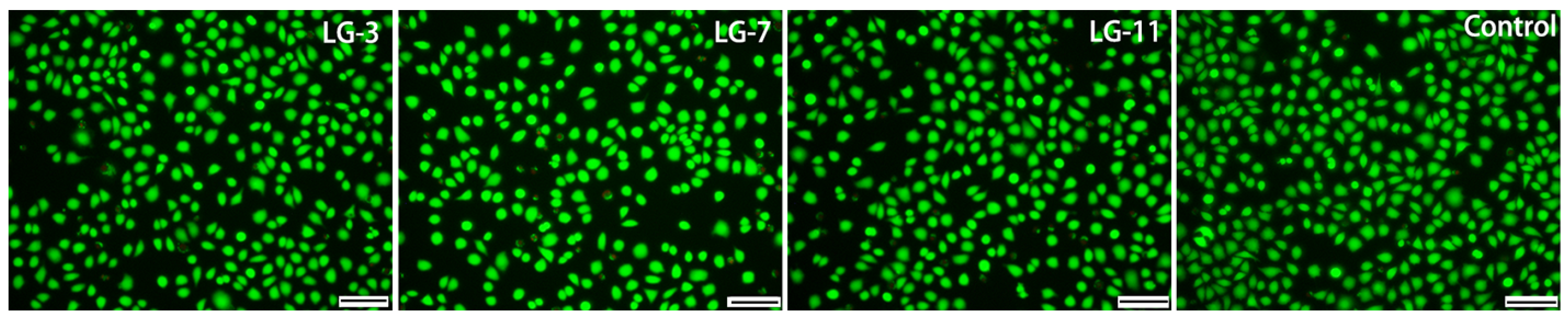 Preprints 121276 g011