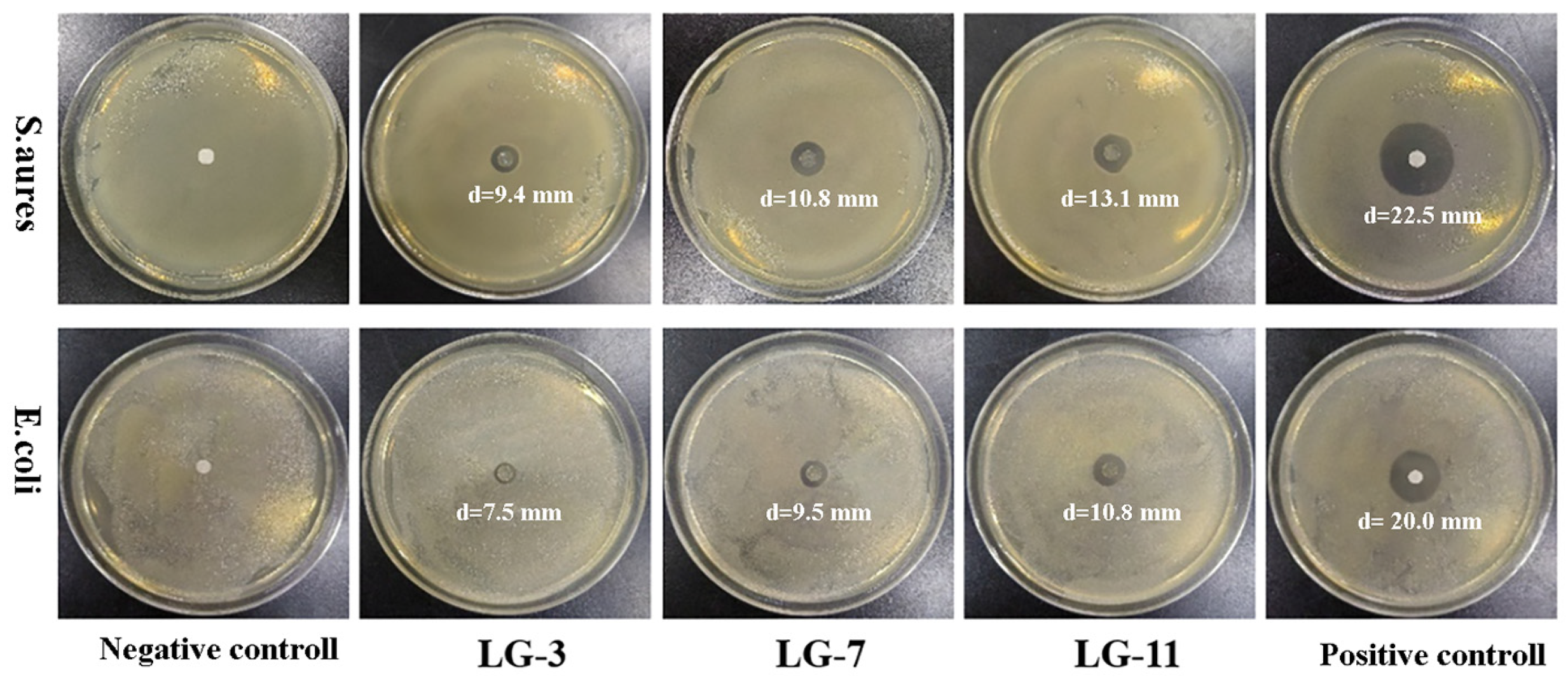 Preprints 121276 g013