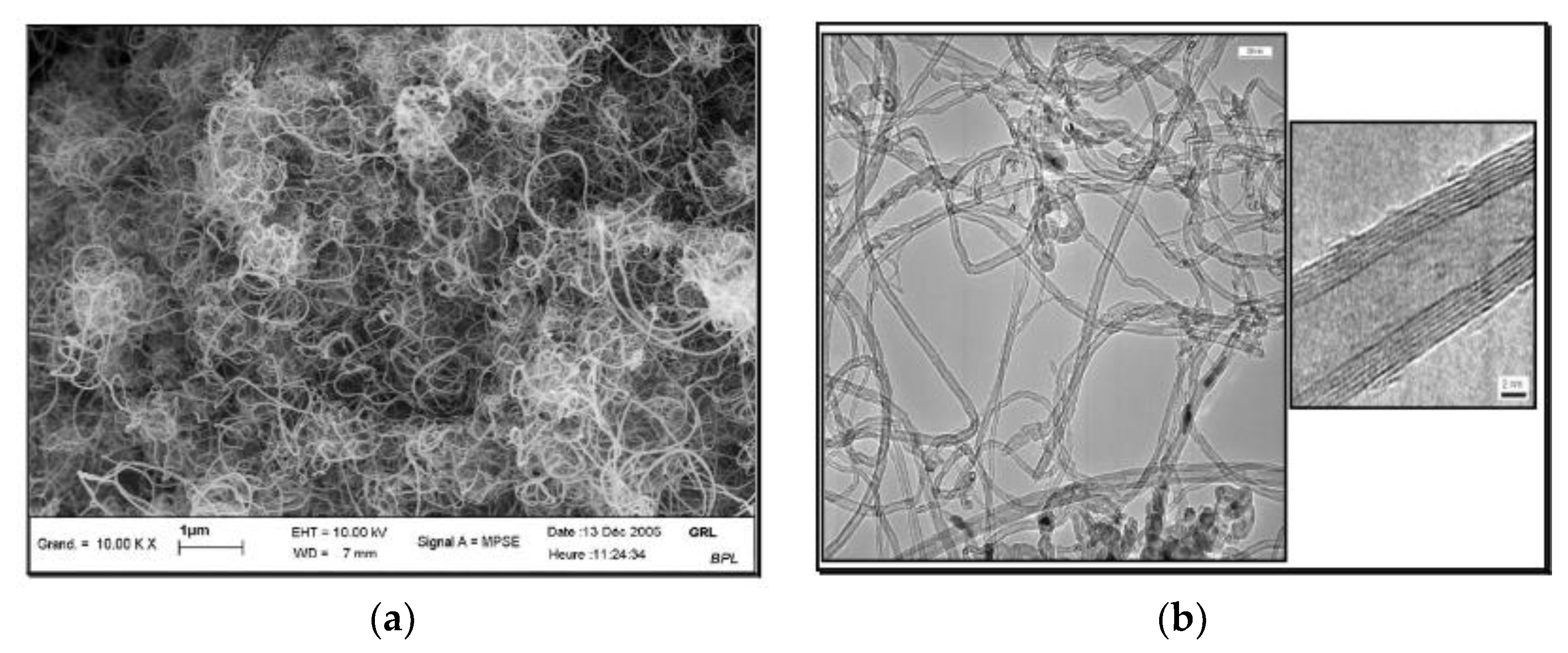 Preprints 73807 g004